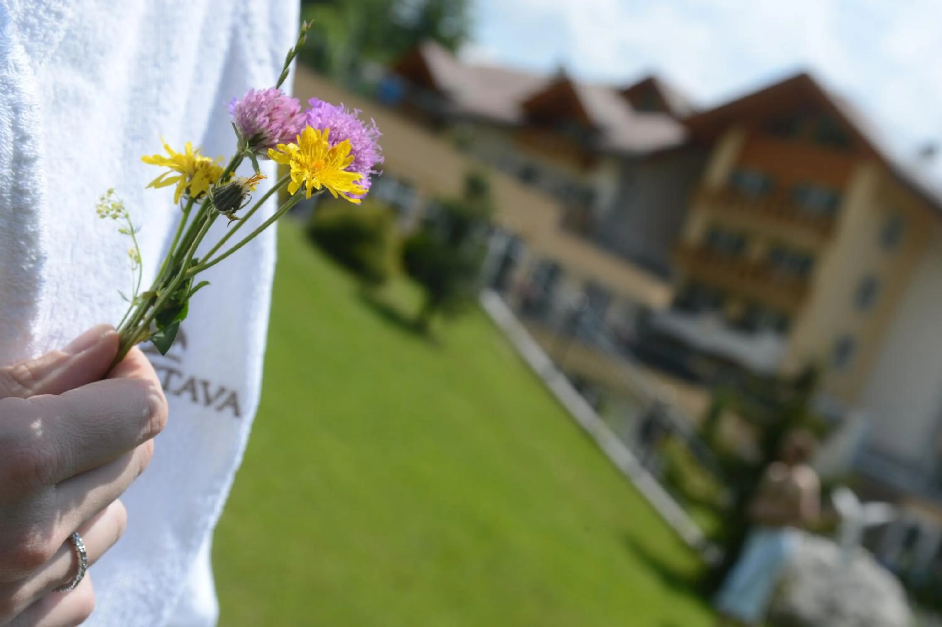 Decorative detail in Rio Stava Family Resort & Spa
