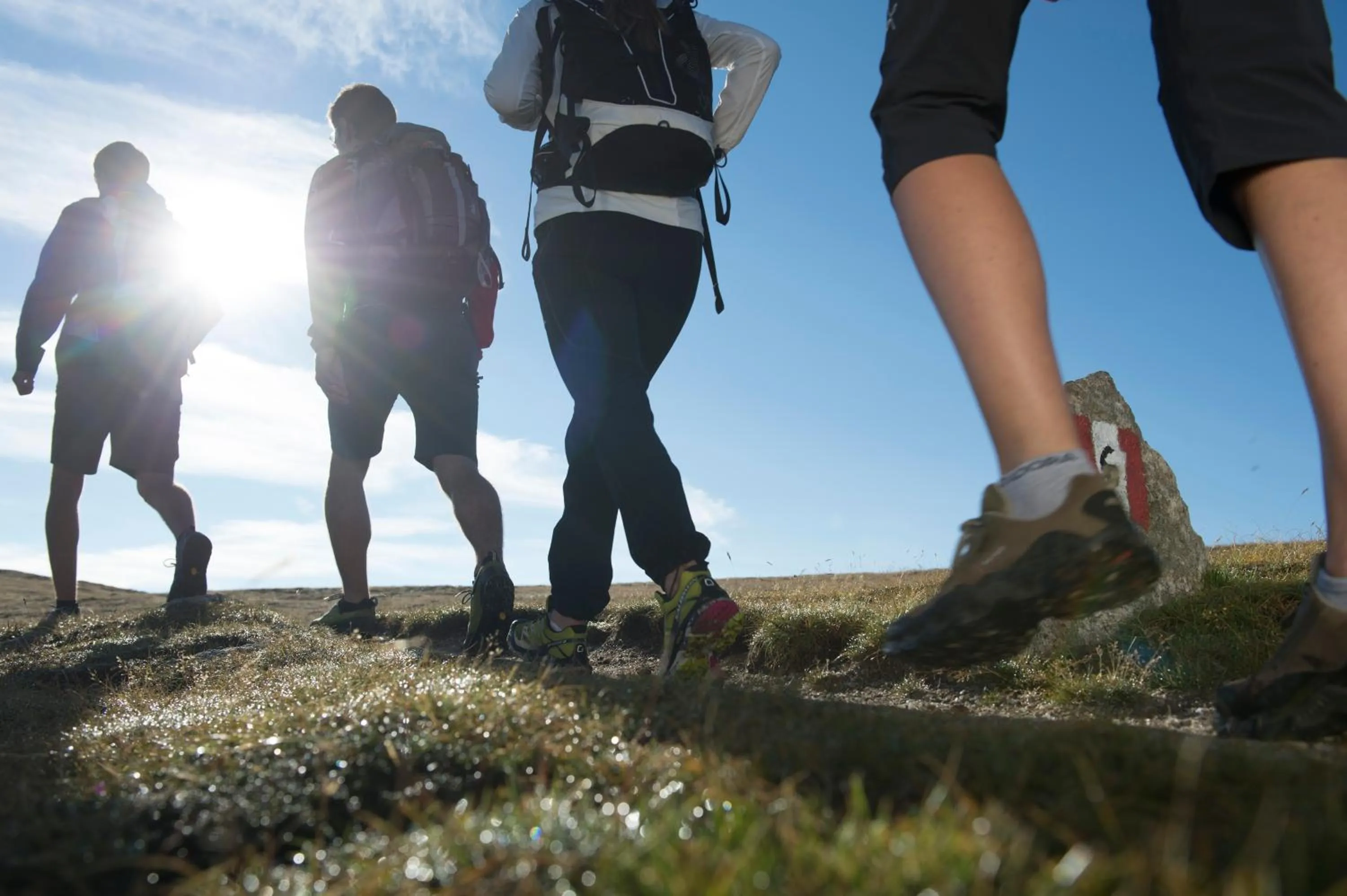 Hiking in Hotel Falken