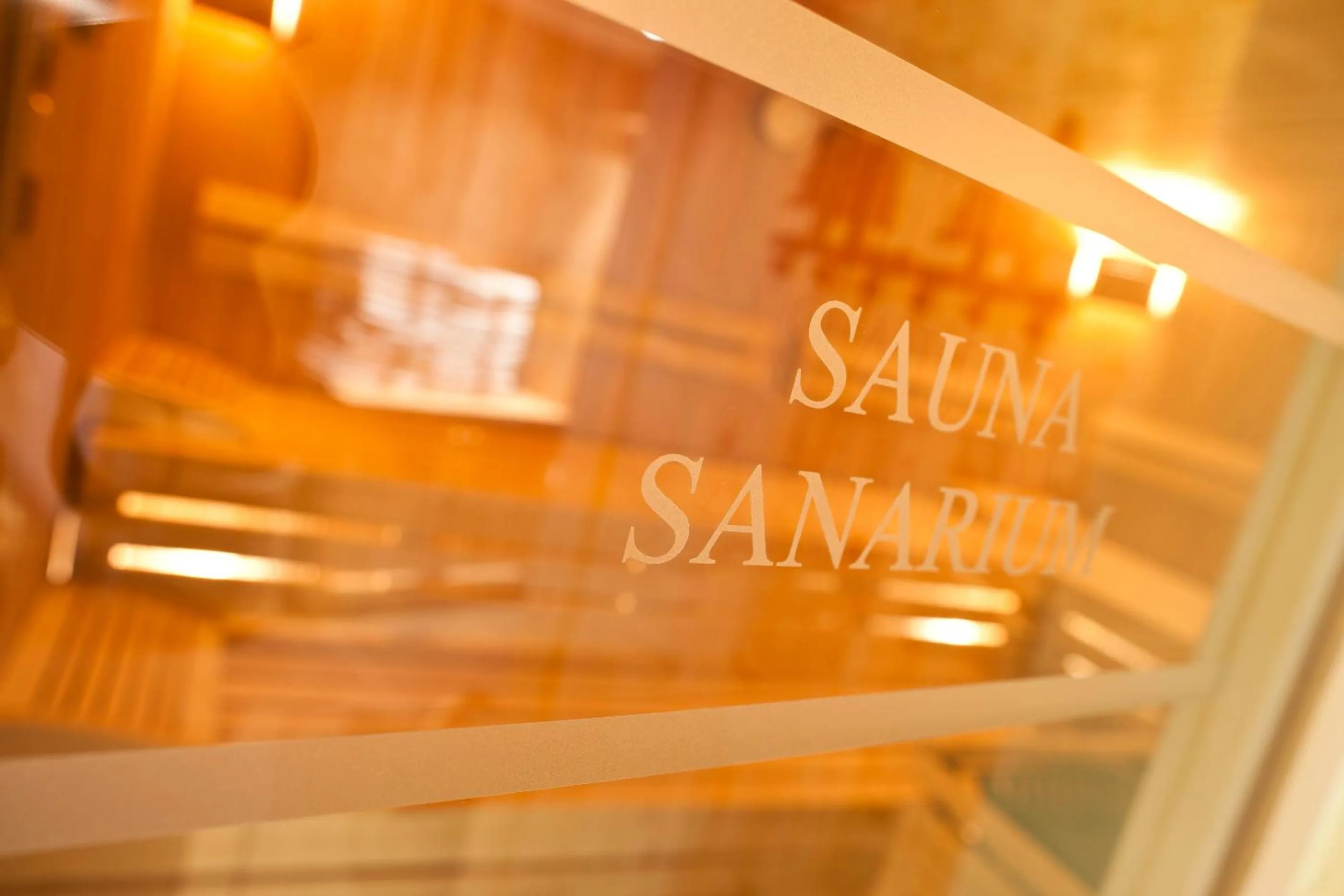 Sauna in Hotel Falken