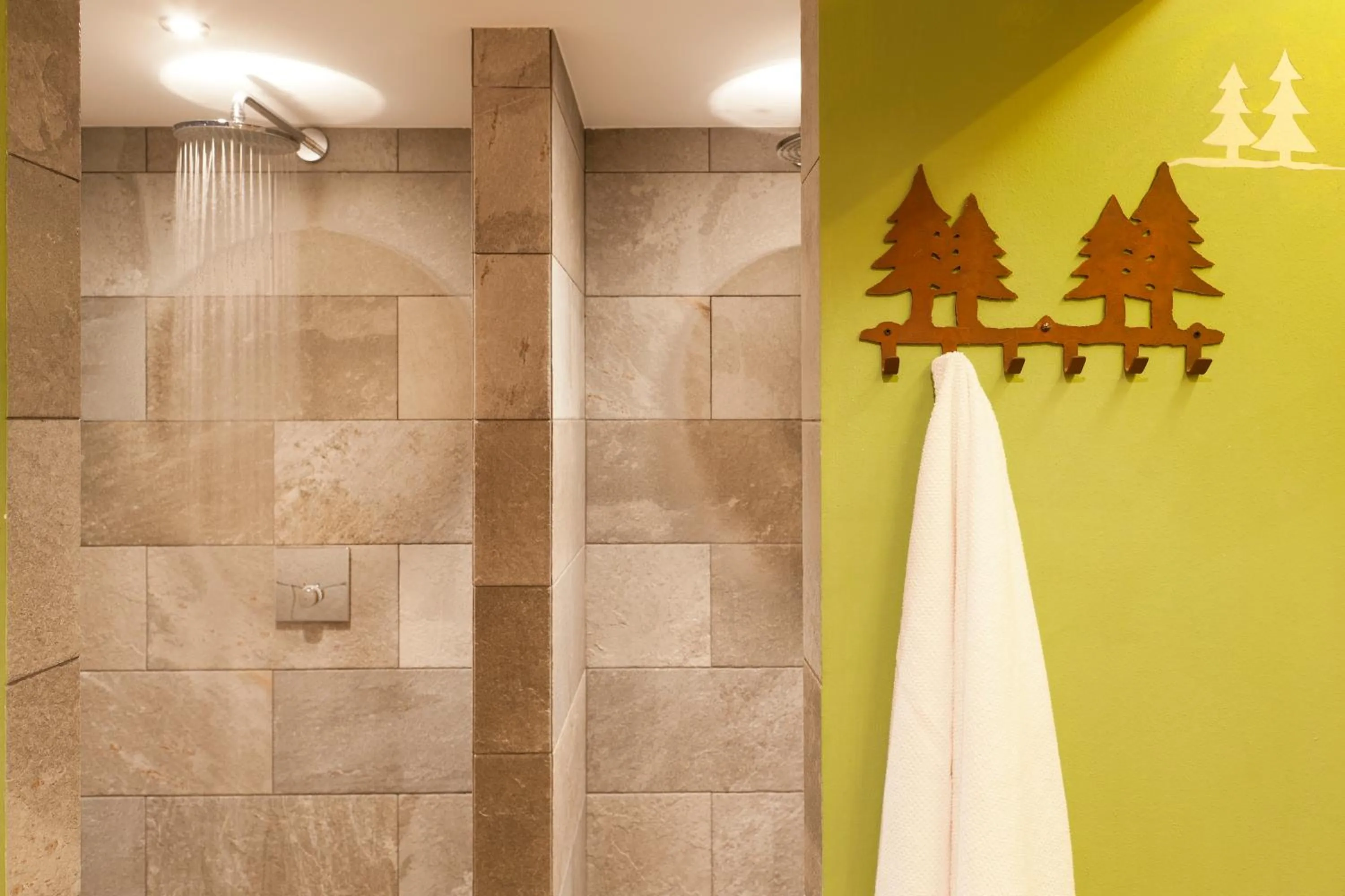 Spa and wellness centre/facilities in Hotel Falken