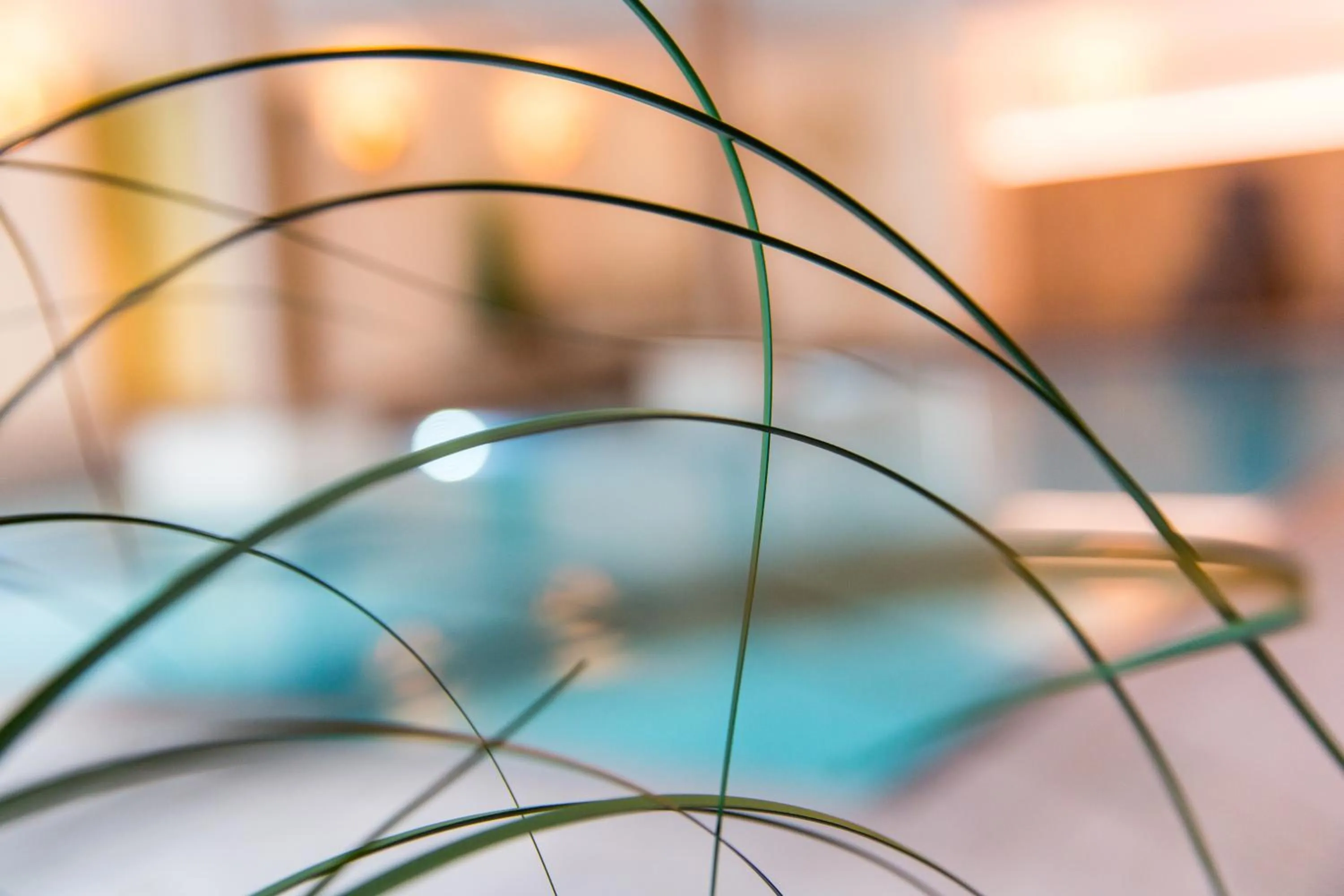 Swimming pool in Hotel Falken