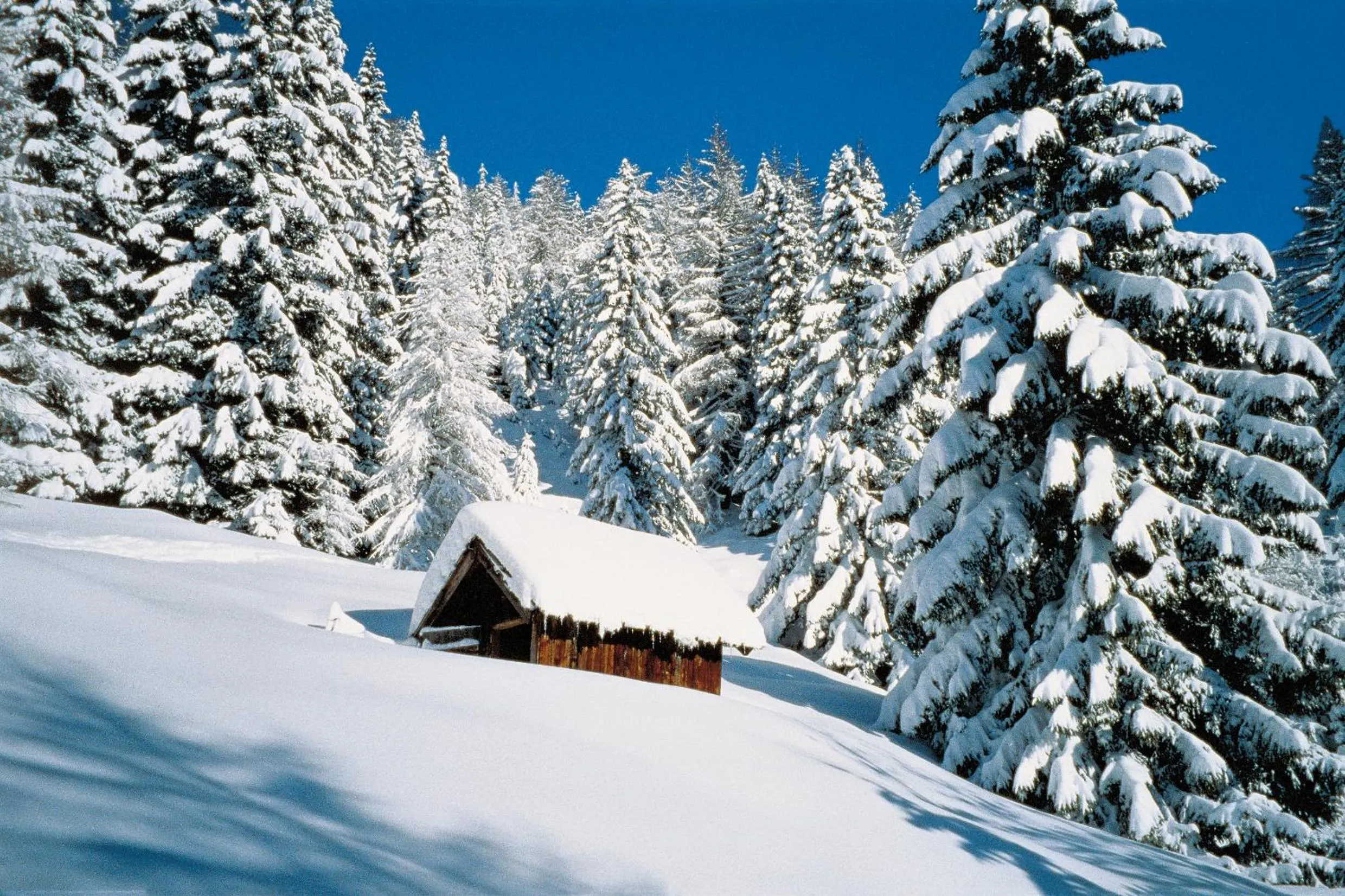 Winter in Hotel Falken