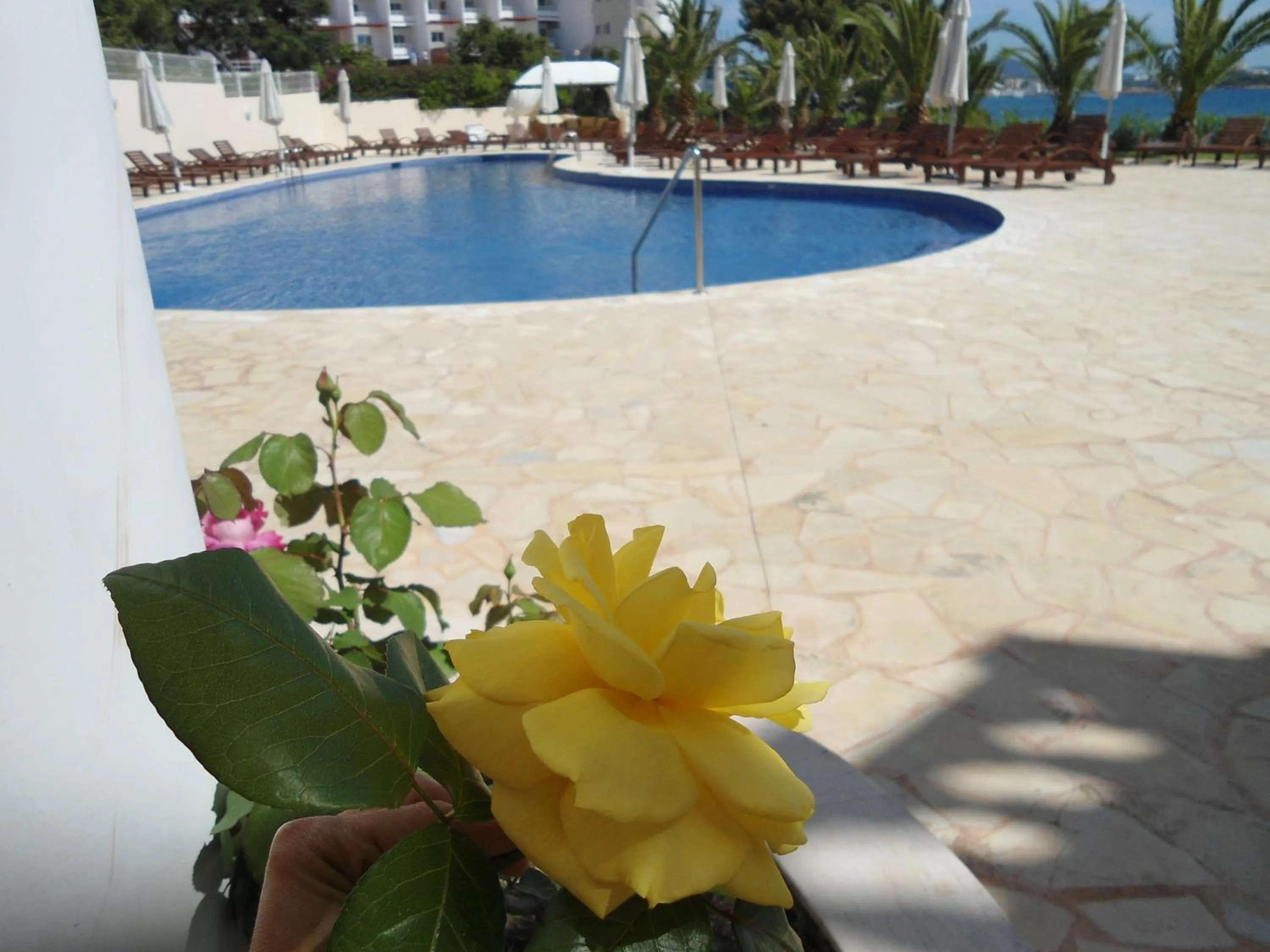 Decorative detail in Grand Hotel Palladium Santa Eulalia del Rio