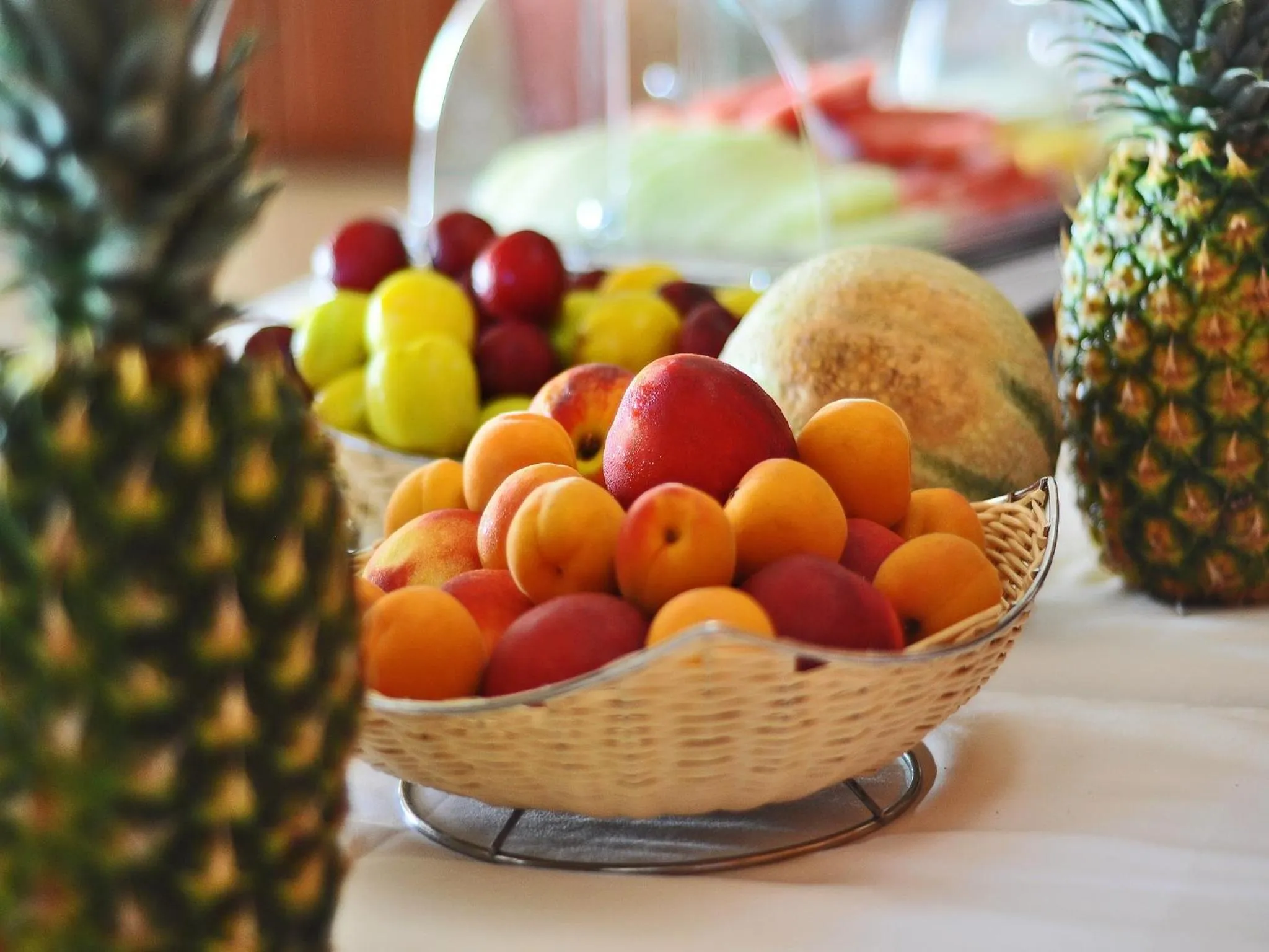 Continental breakfast in Grand Hotel Palladium Santa Eulalia del Rio