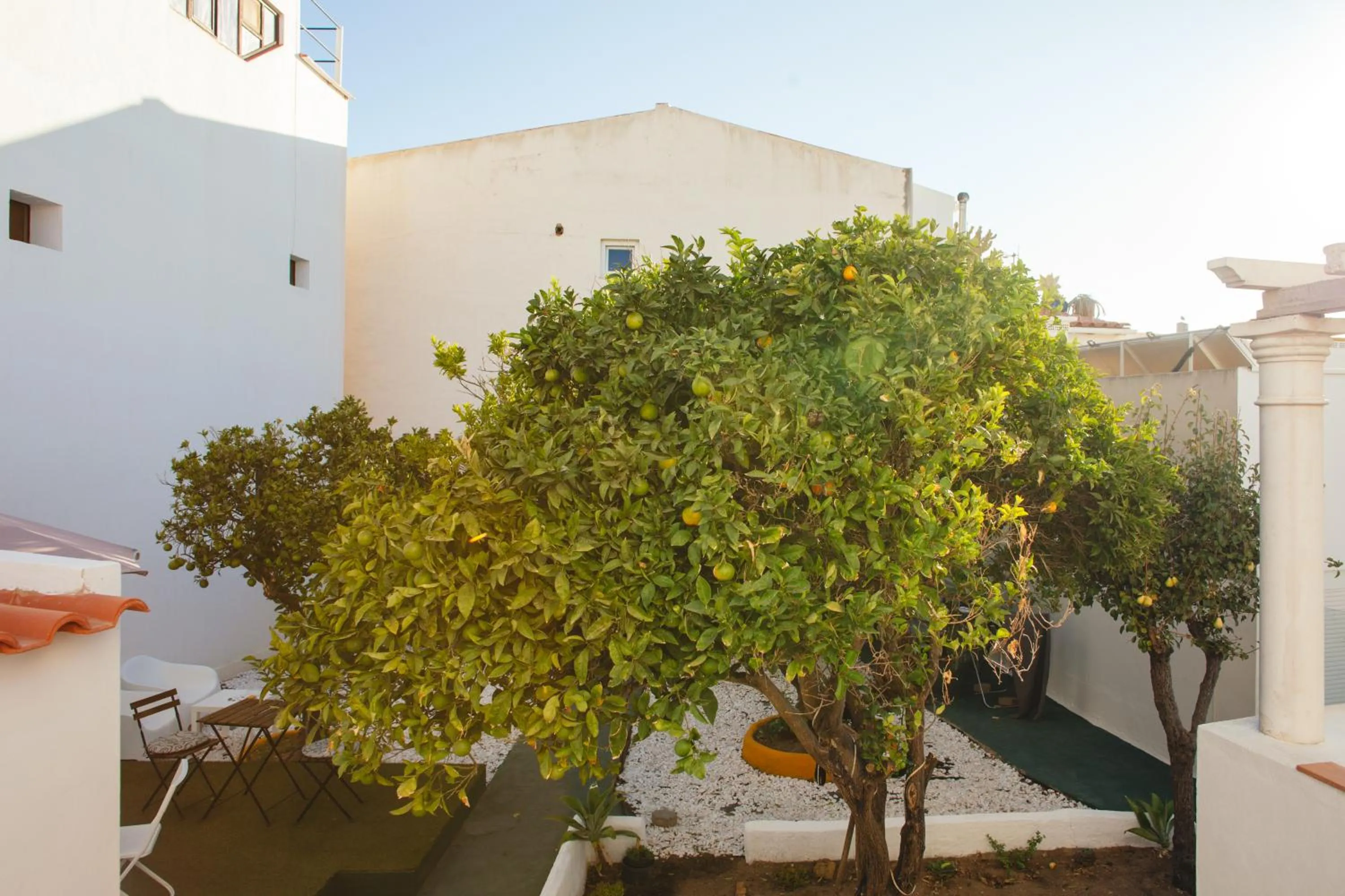 Garden in Orange3 Hostel