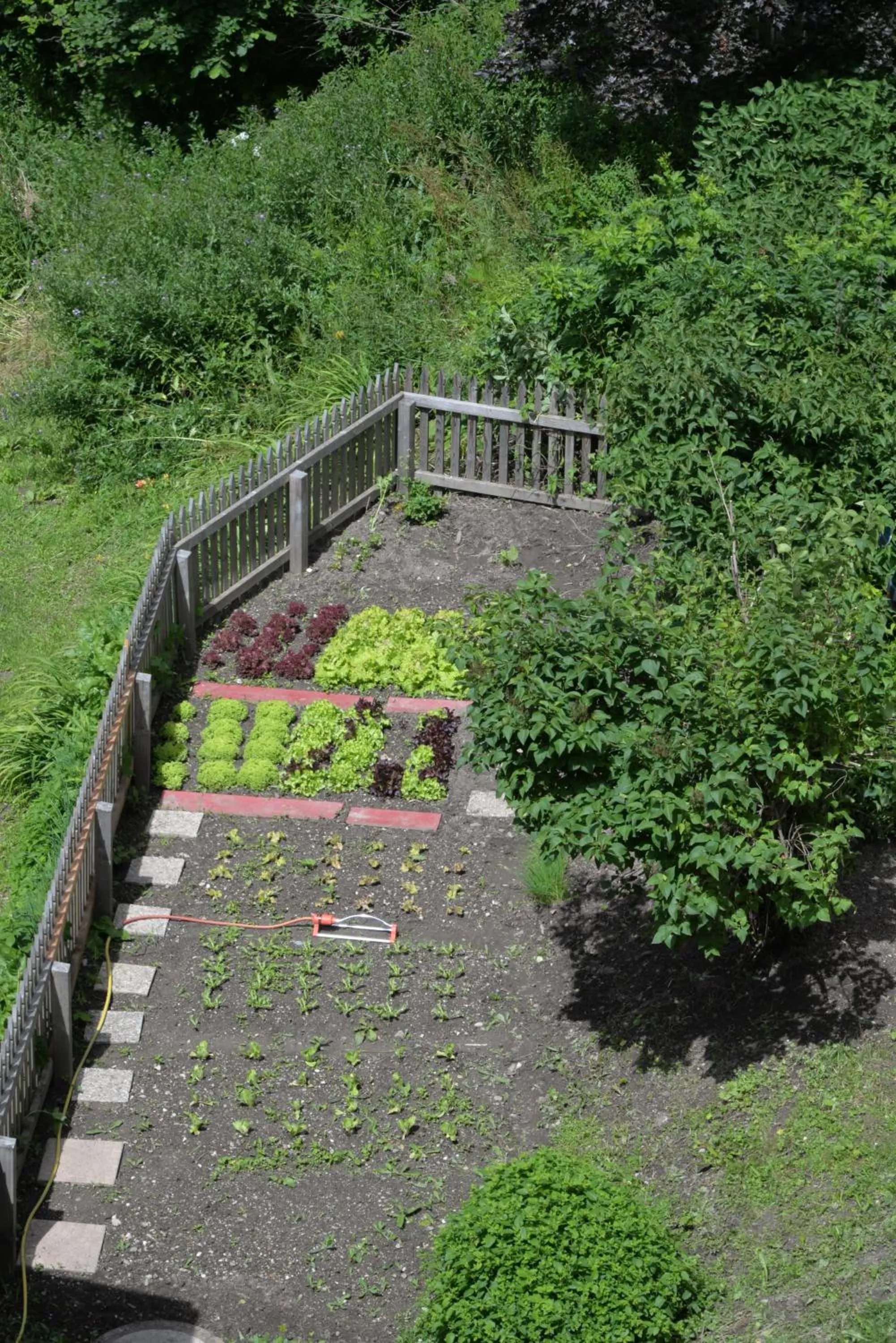 Facade/entrance in Parkhotel Sole Paradiso