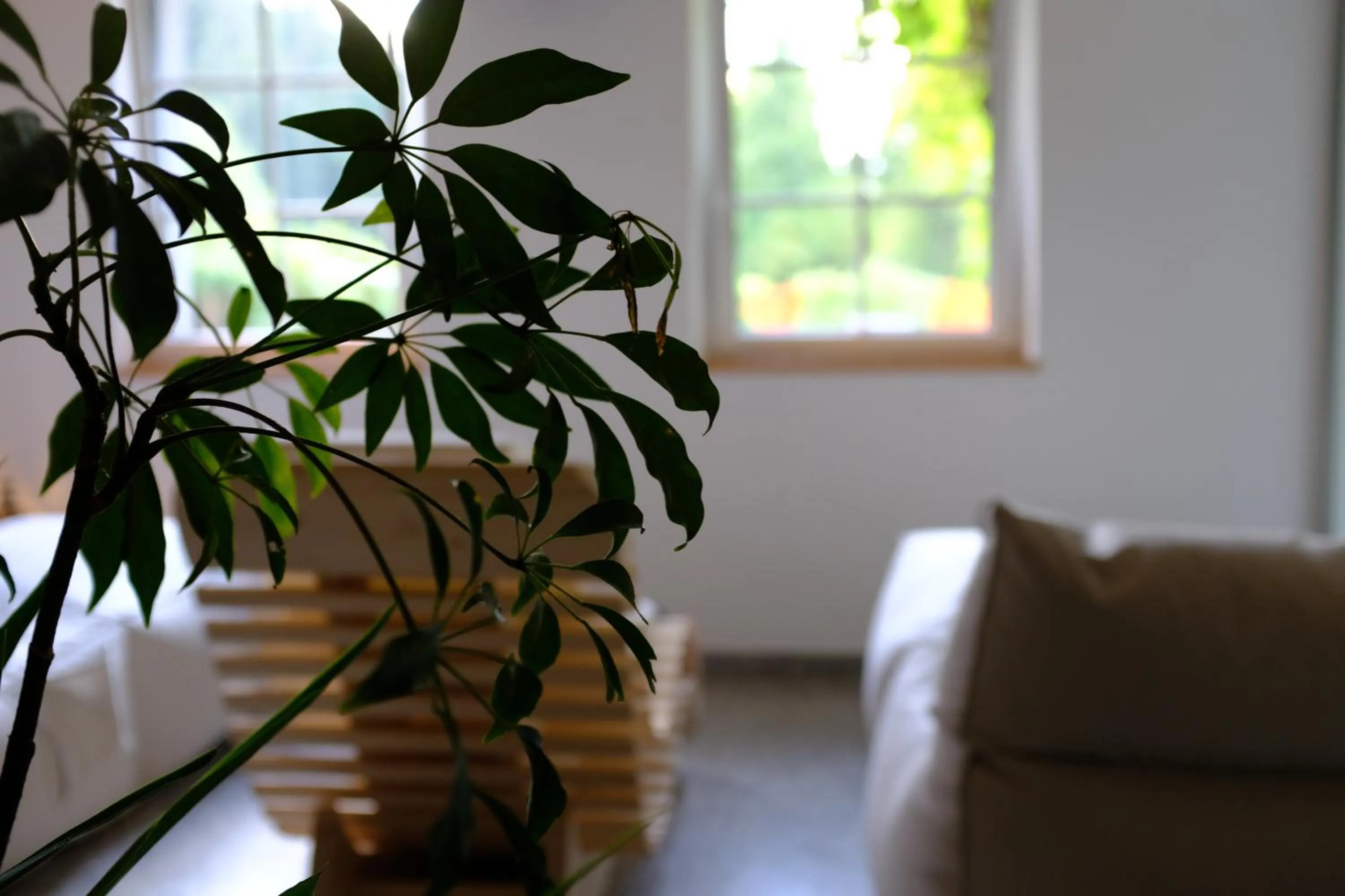 Spa and wellness centre/facilities in Parkhotel Sole Paradiso