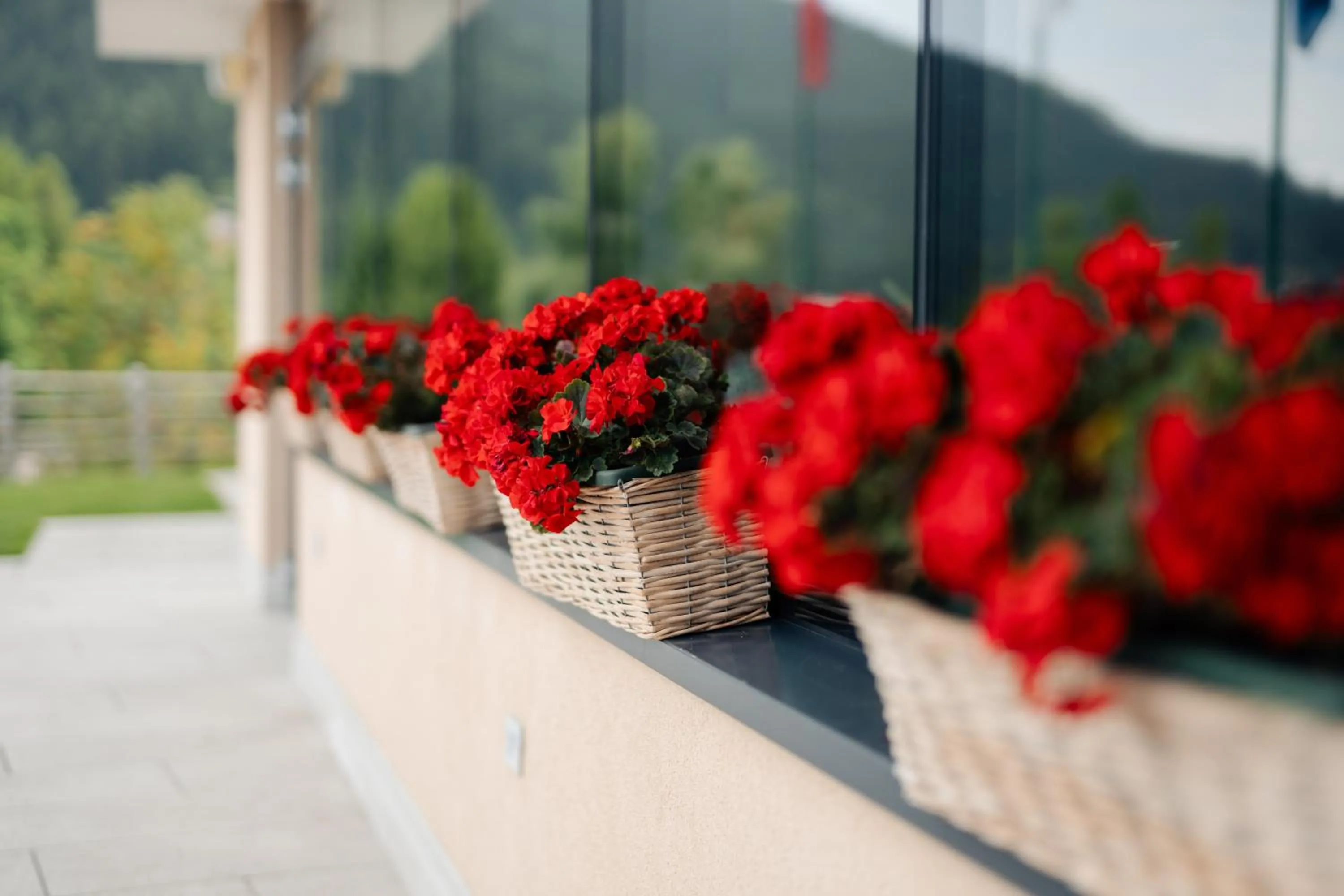 Garden in Hotel Monte Bondone