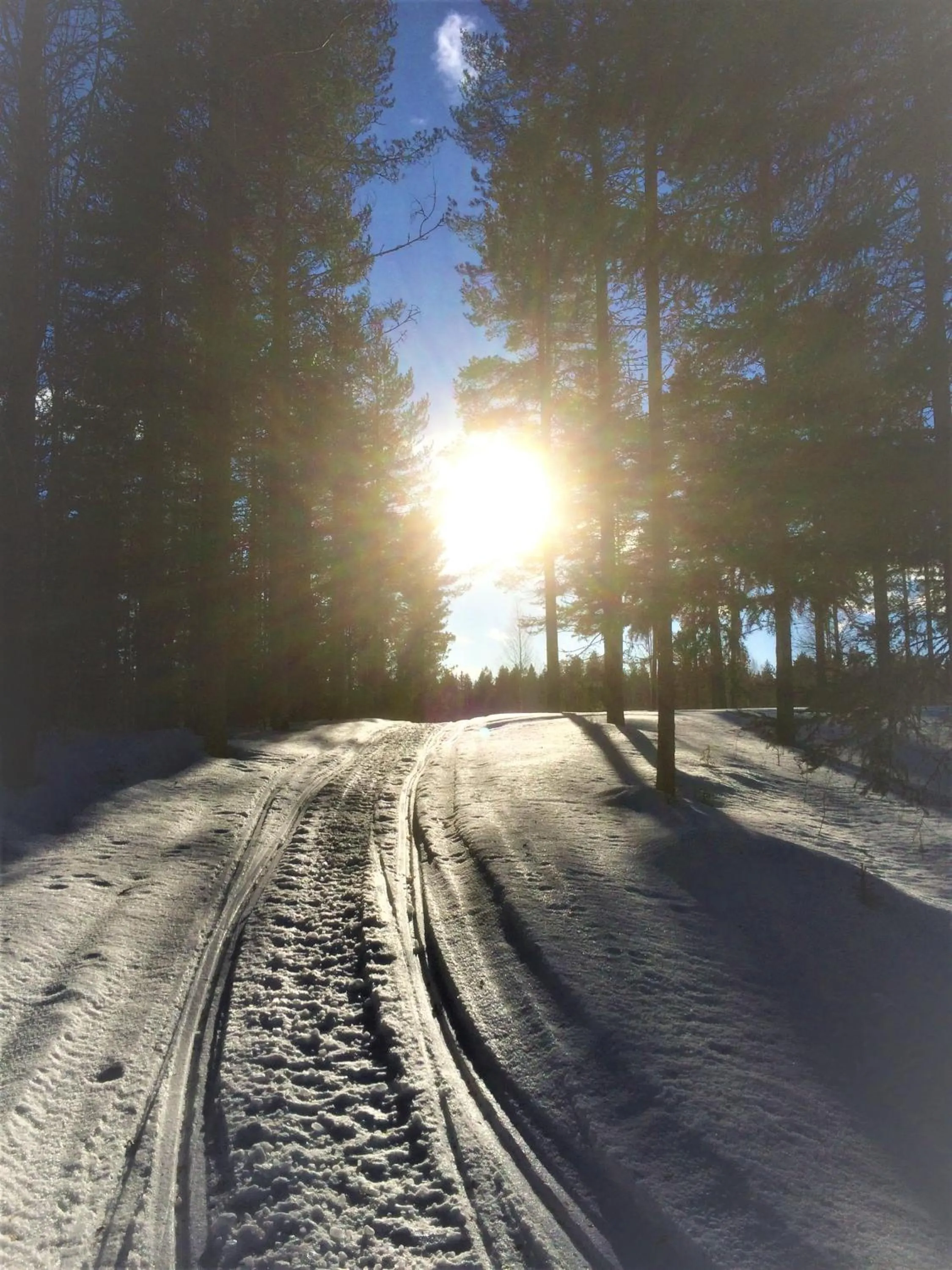 Natural landscape in Villa Havula
