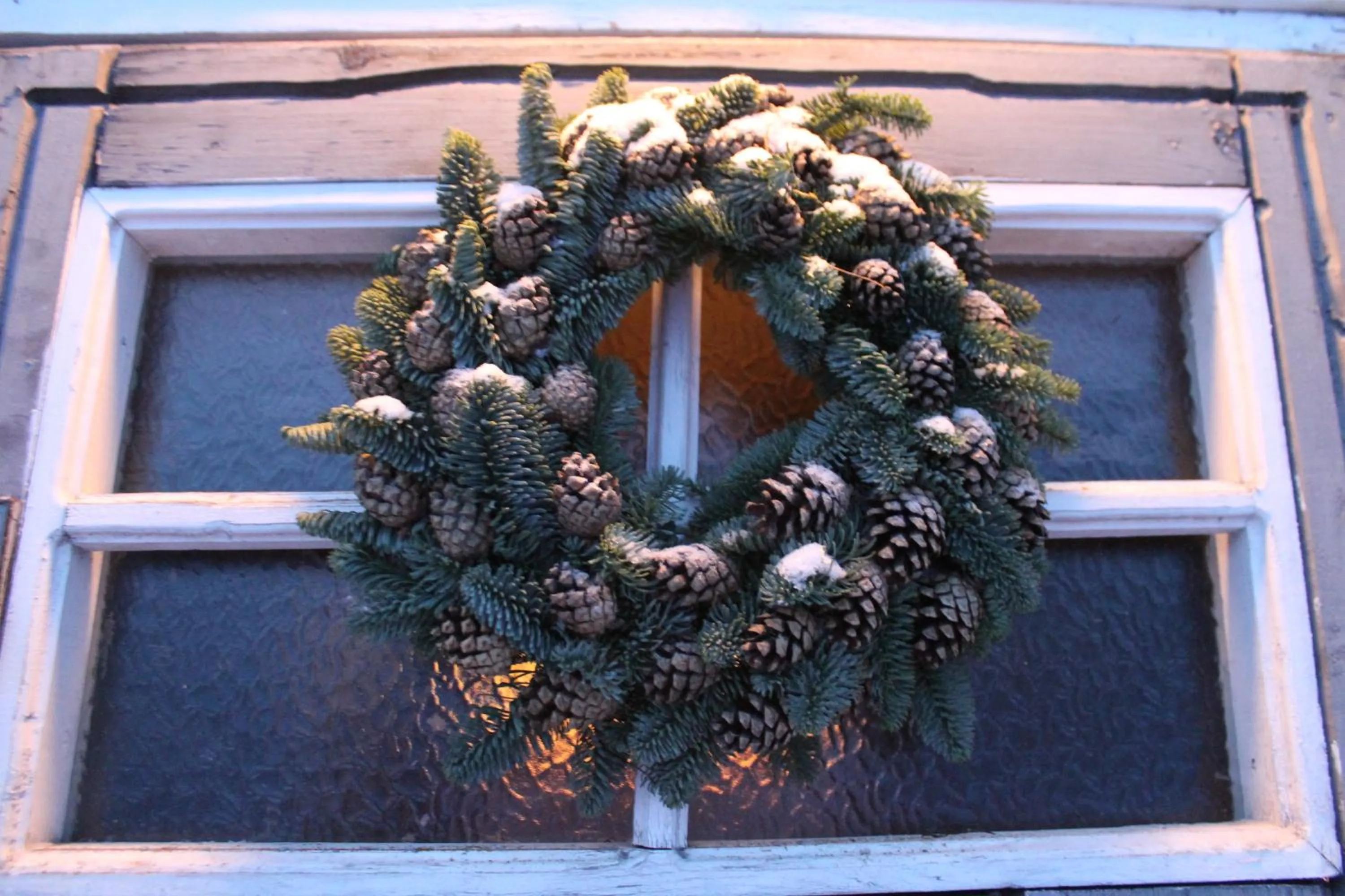 Garden view in Villa Havula