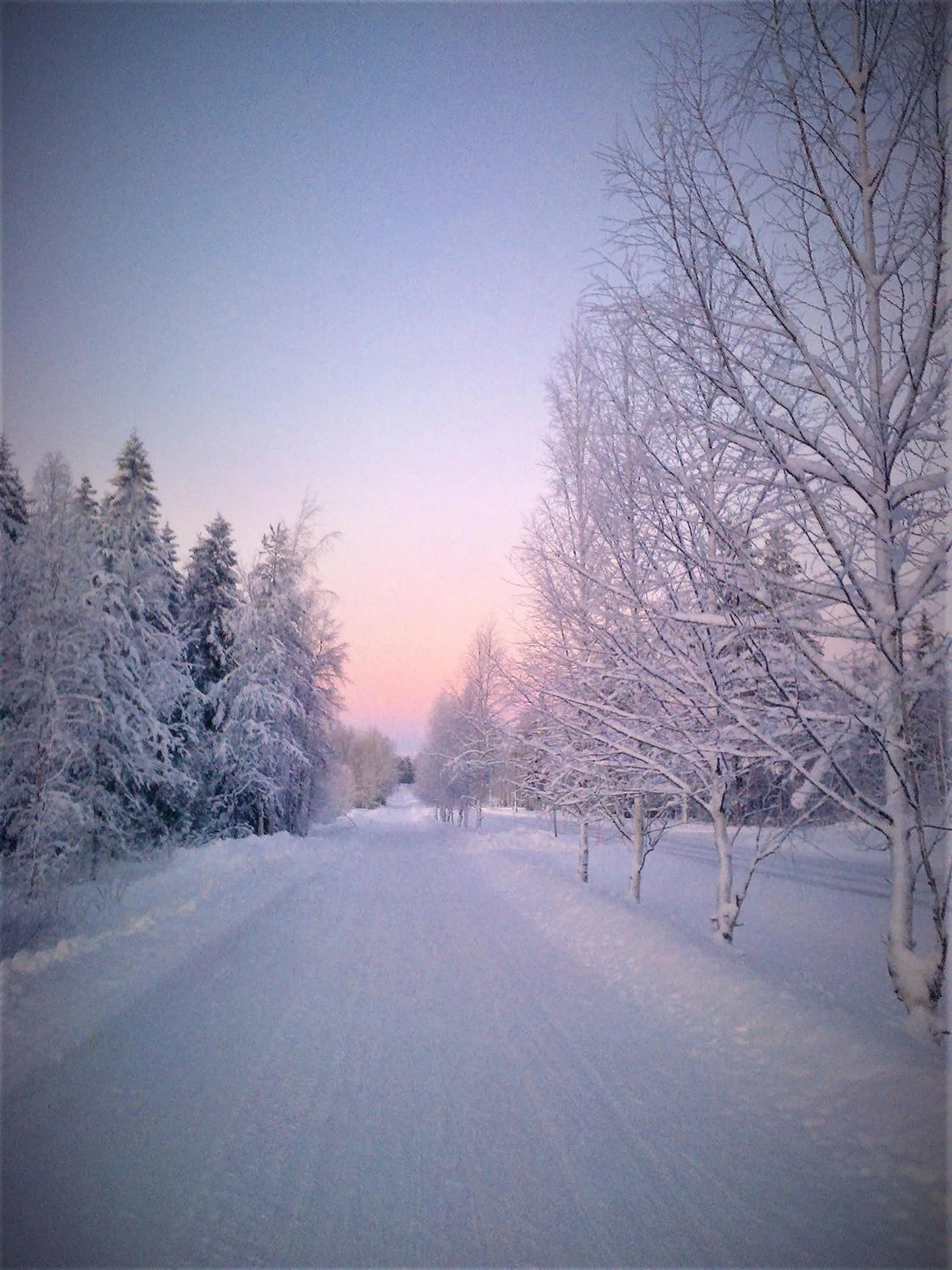 Natural landscape in Villa Havula