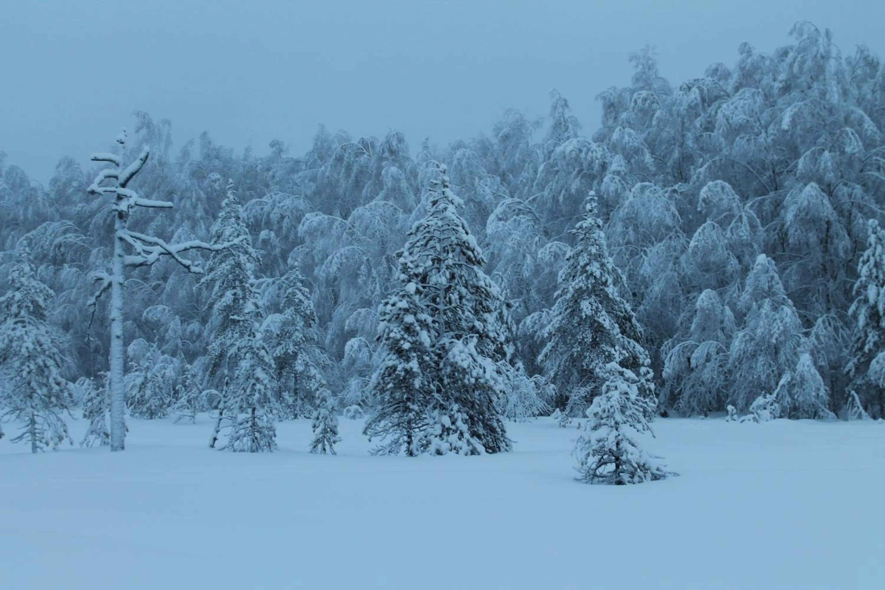 Off site in Villa Havula