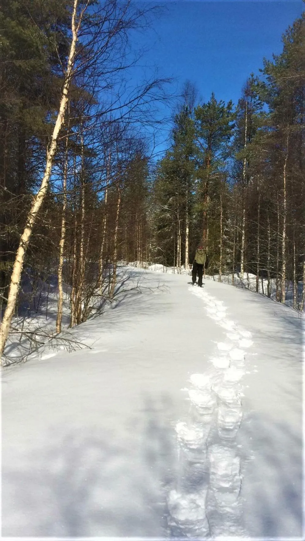 Spring in Villa Havula