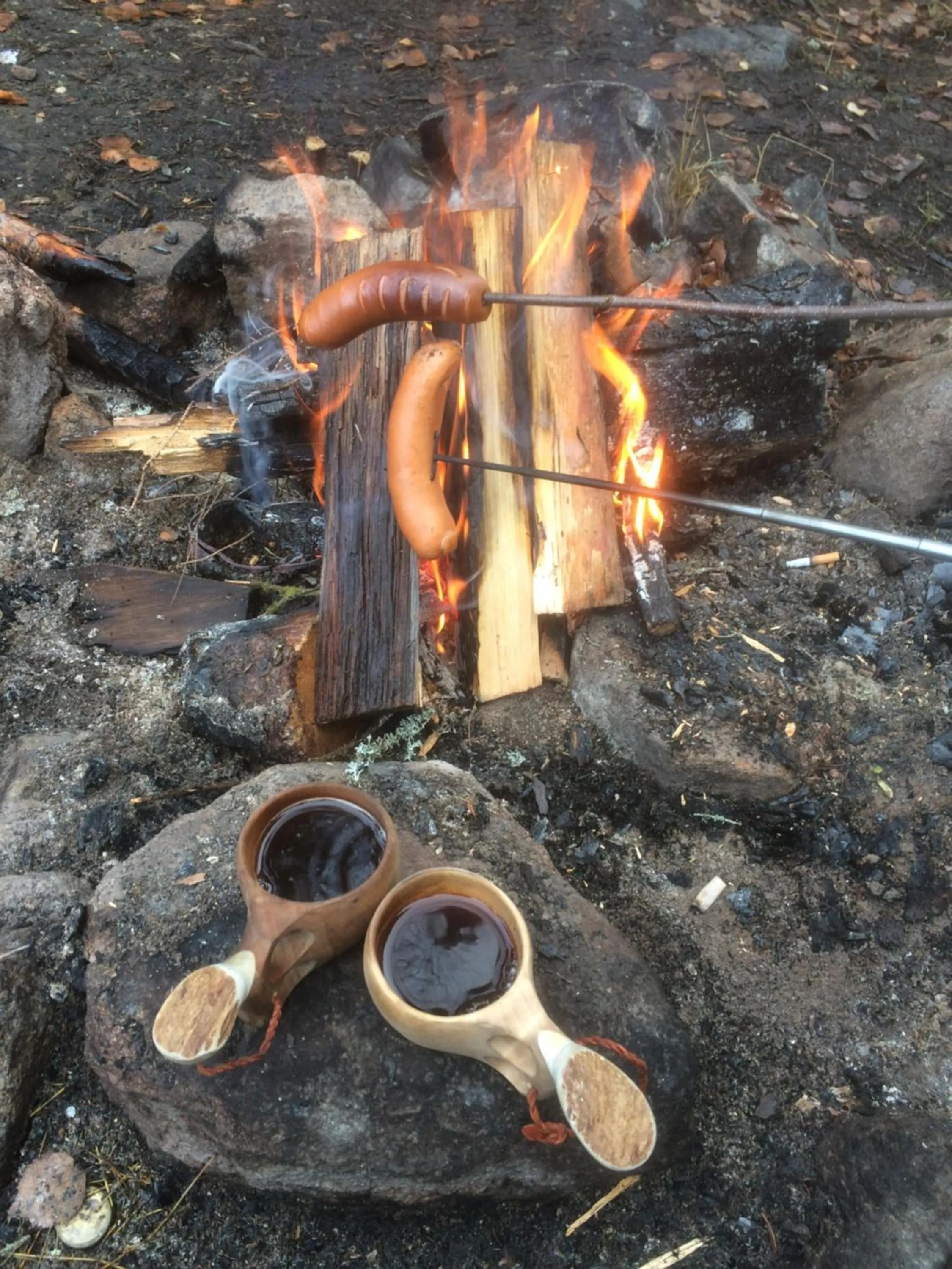 Spring in Villa Havula