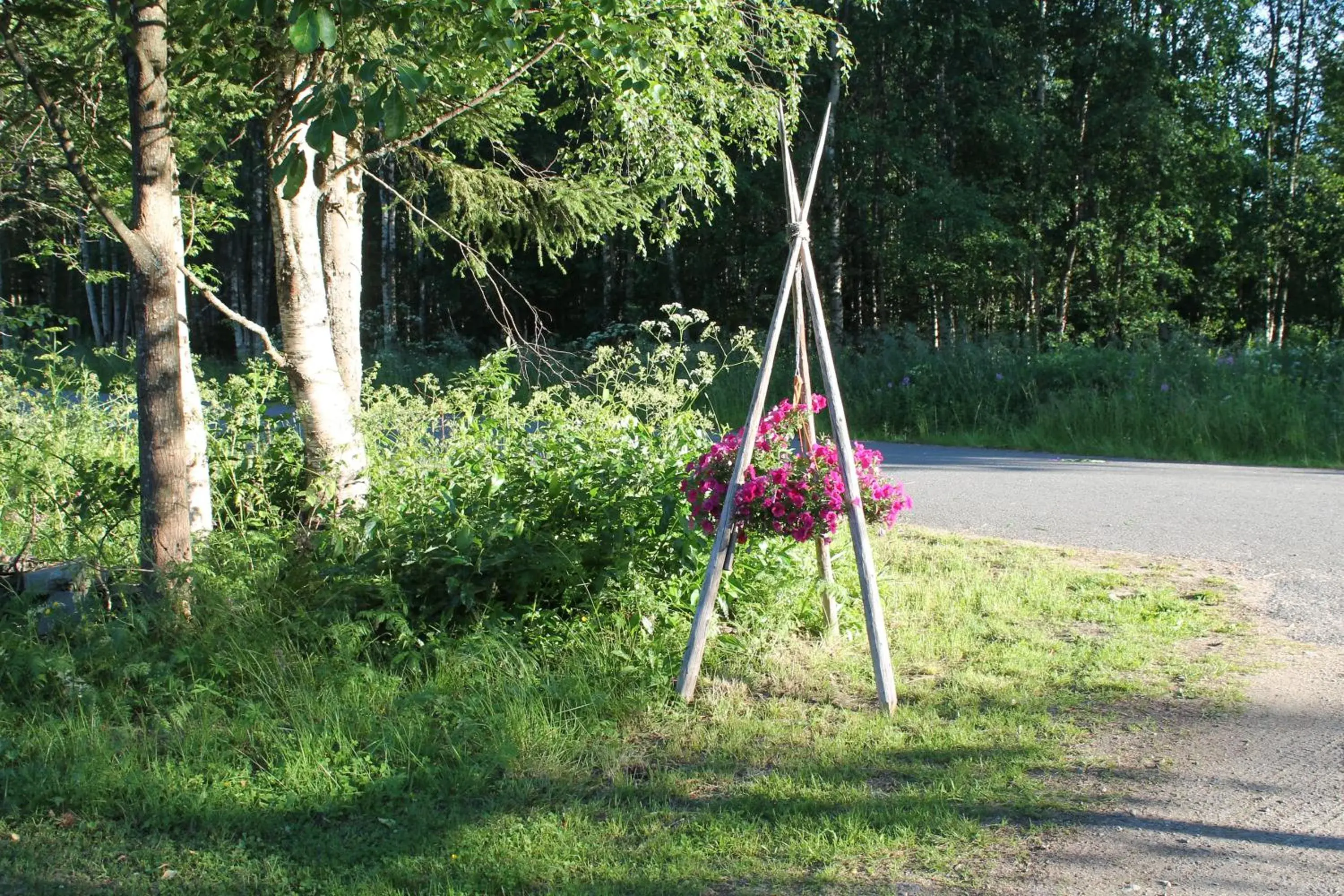 Apartment - single occupancy in Villa Havula Apartment - single occupancy in Villa Havula