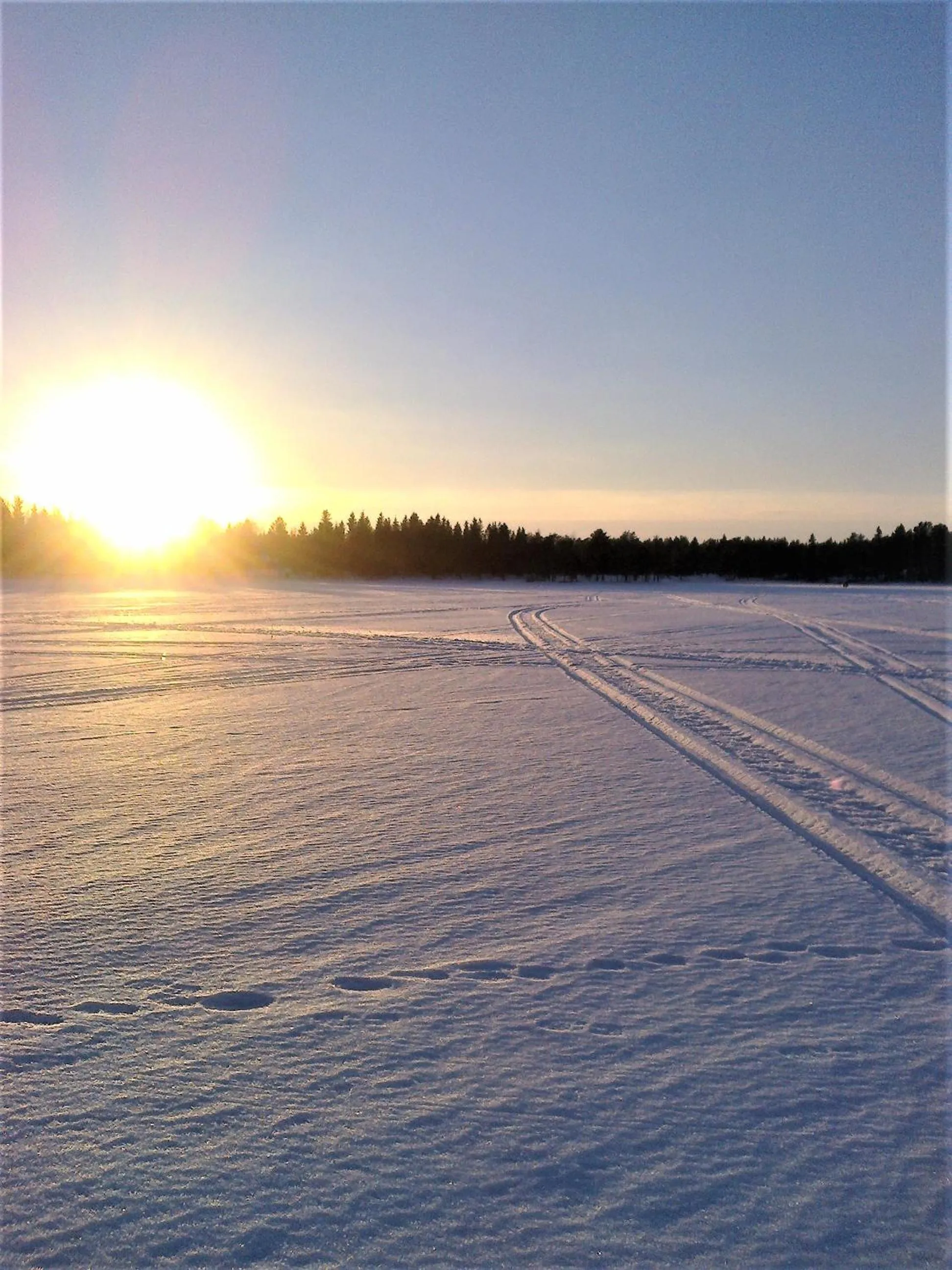 Natural landscape in Villa Havula