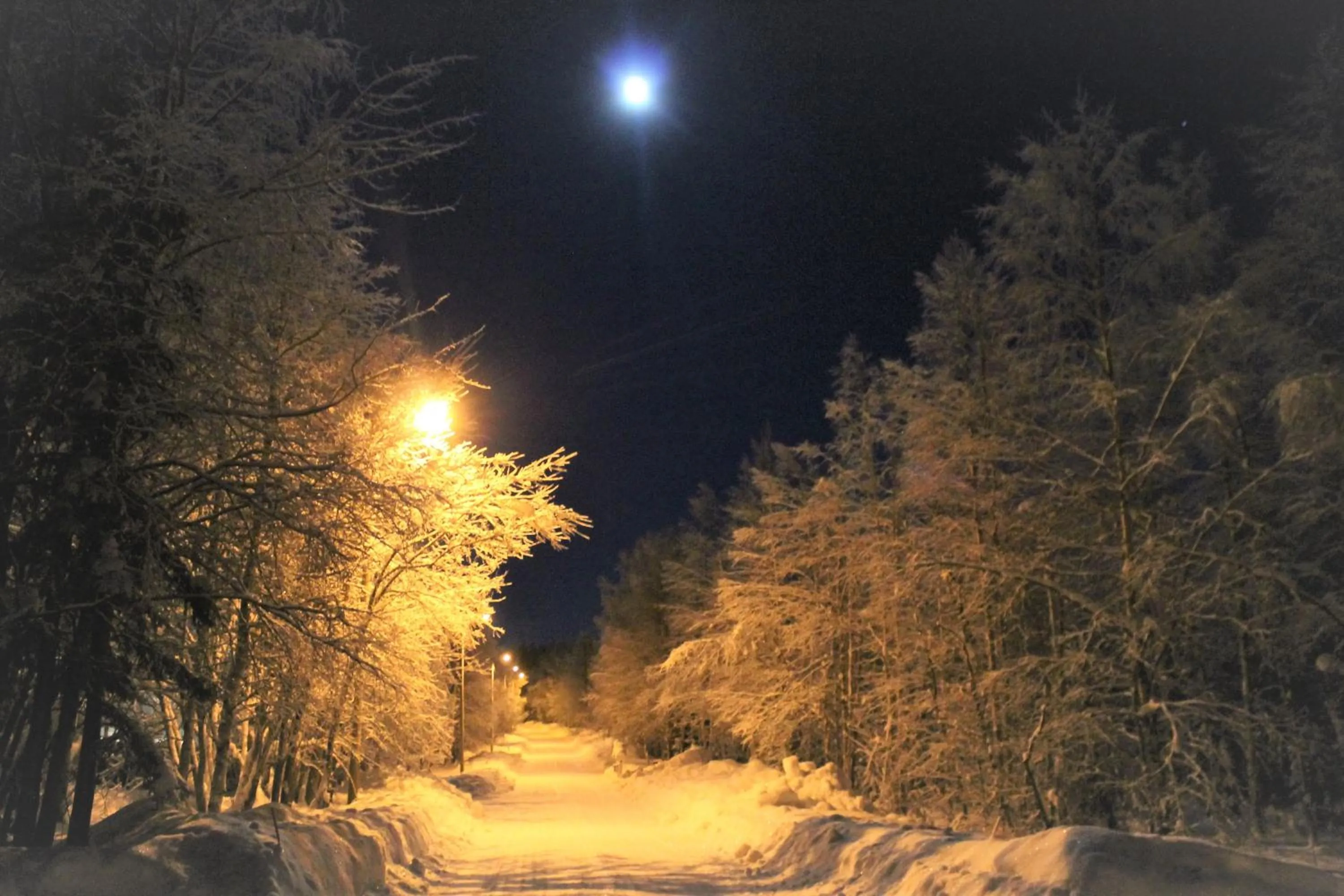 Winter in Villa Havula