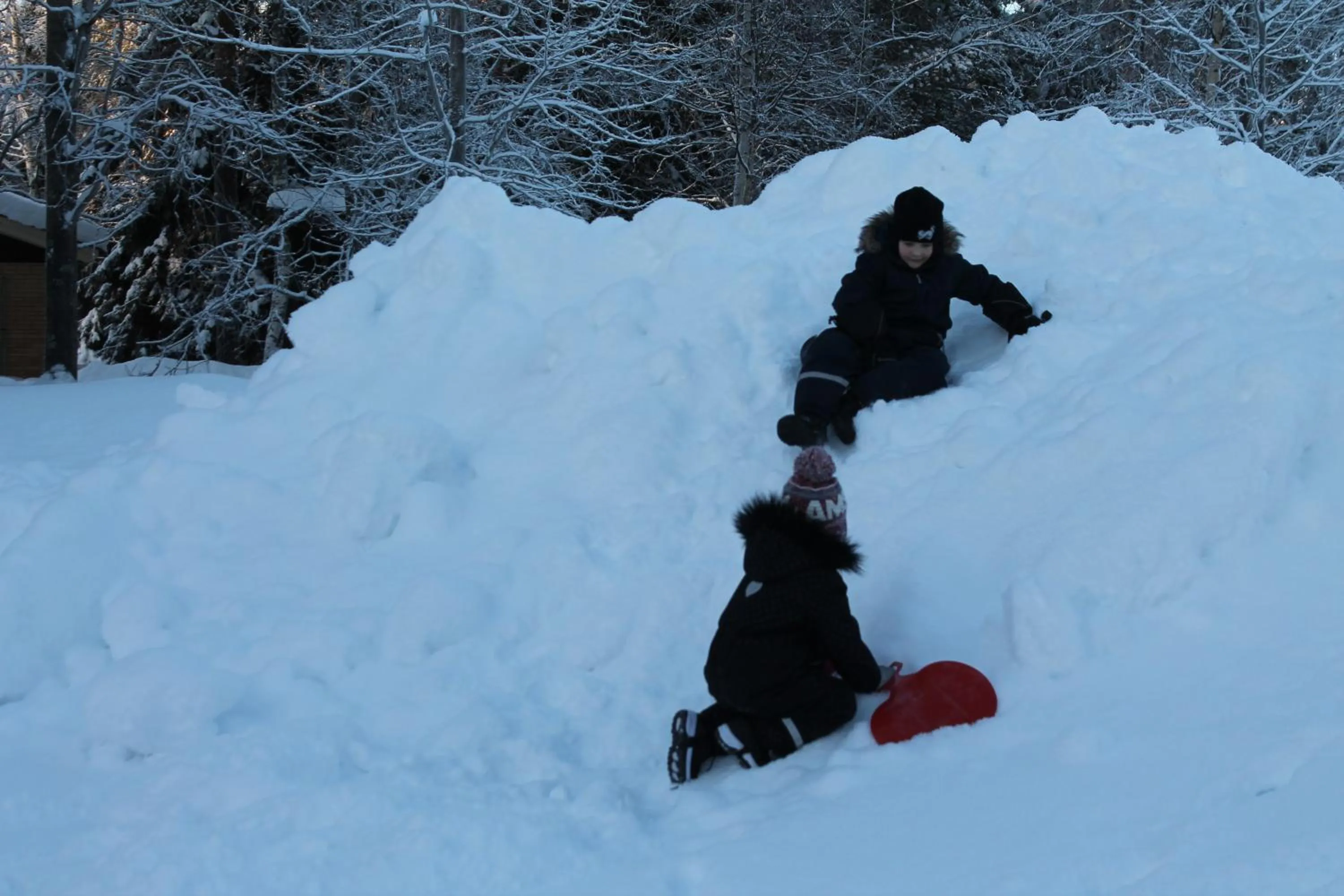 Activities in Villa Havula