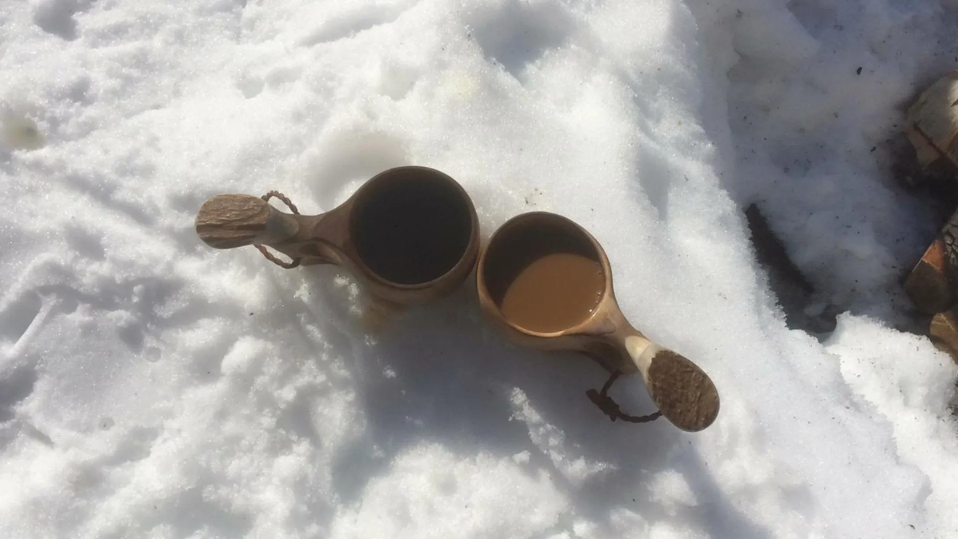 Spring in Villa Havula