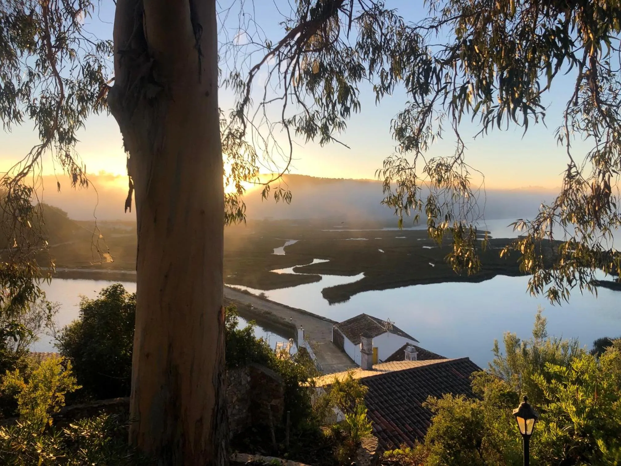 Garden view in Moinho Da Asneira - Duna Parque Resorts & Hotels