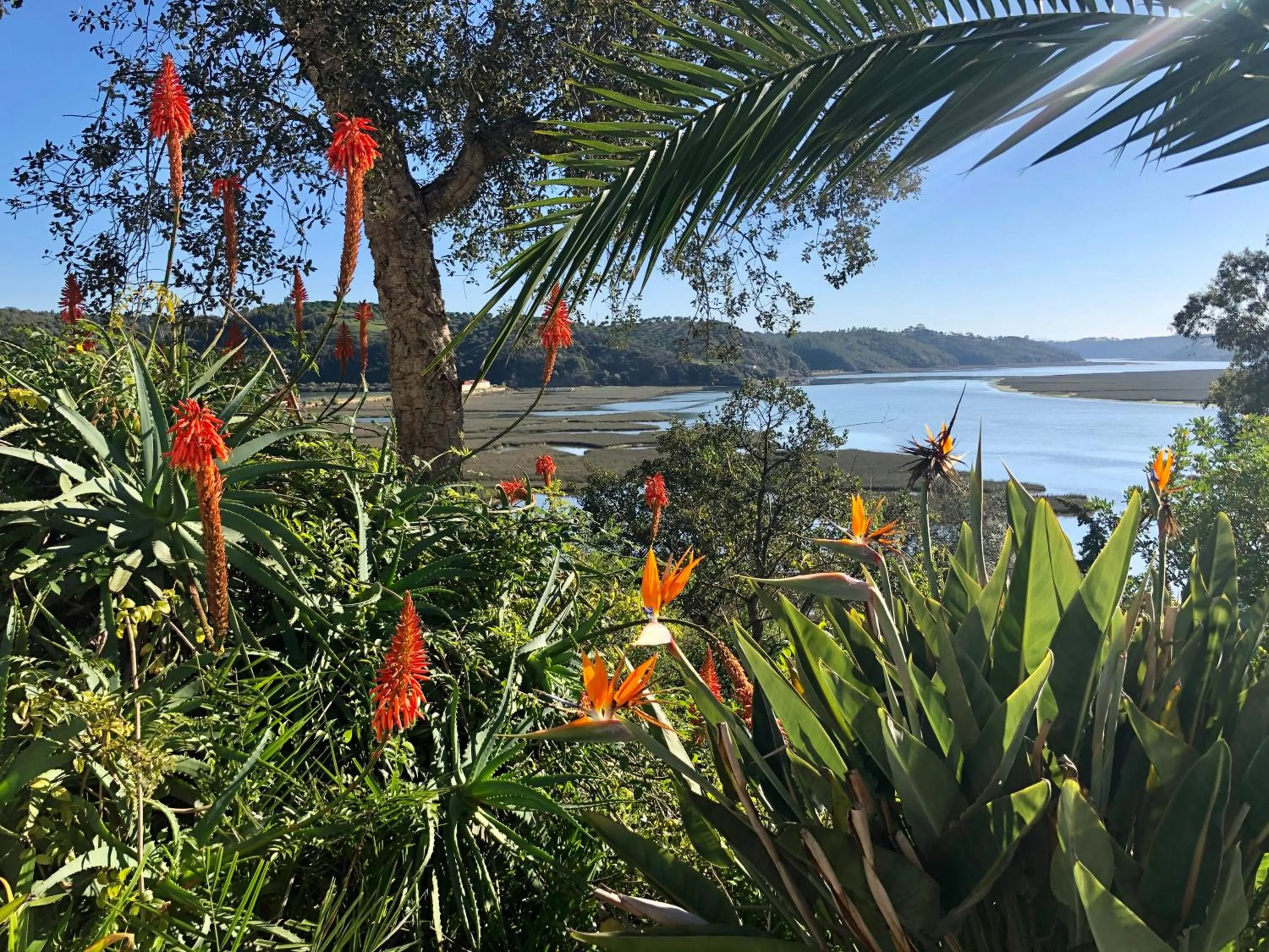 View (from property/room) in Moinho Da Asneira - Duna Parque Resorts & Hotels