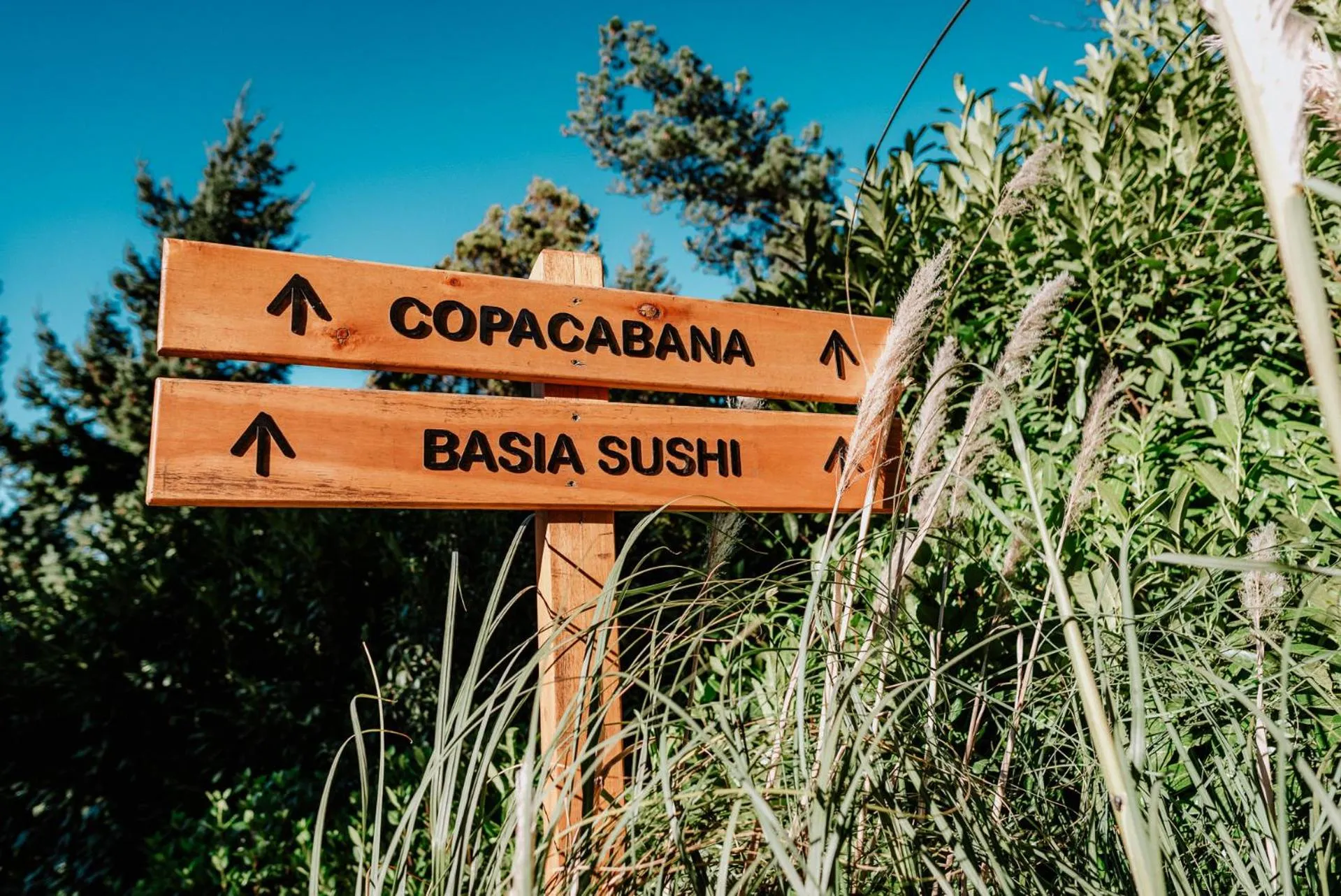 Property building in Basia Hotel & Sushi