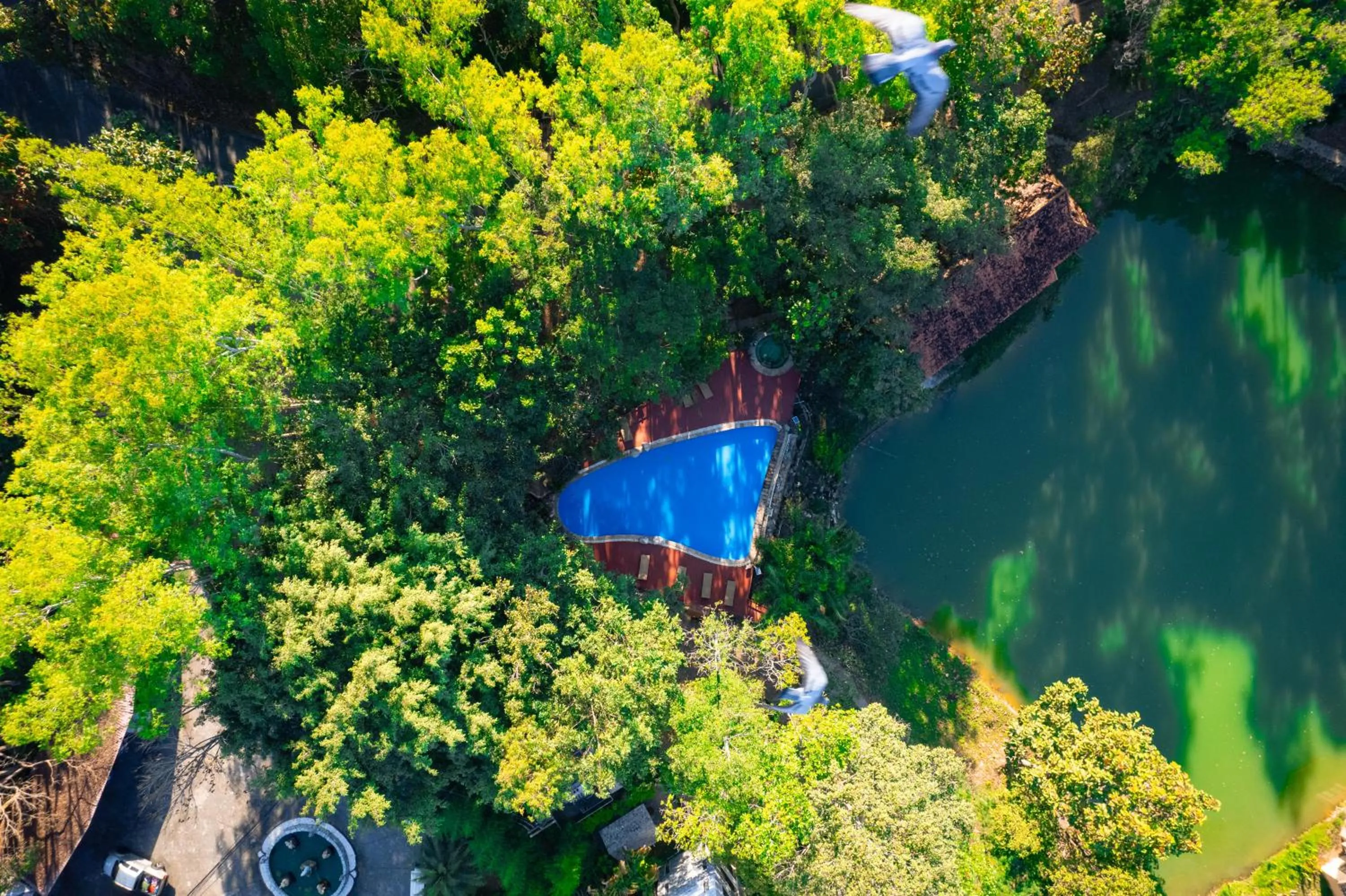 Swimming pool in Jirung Health Village