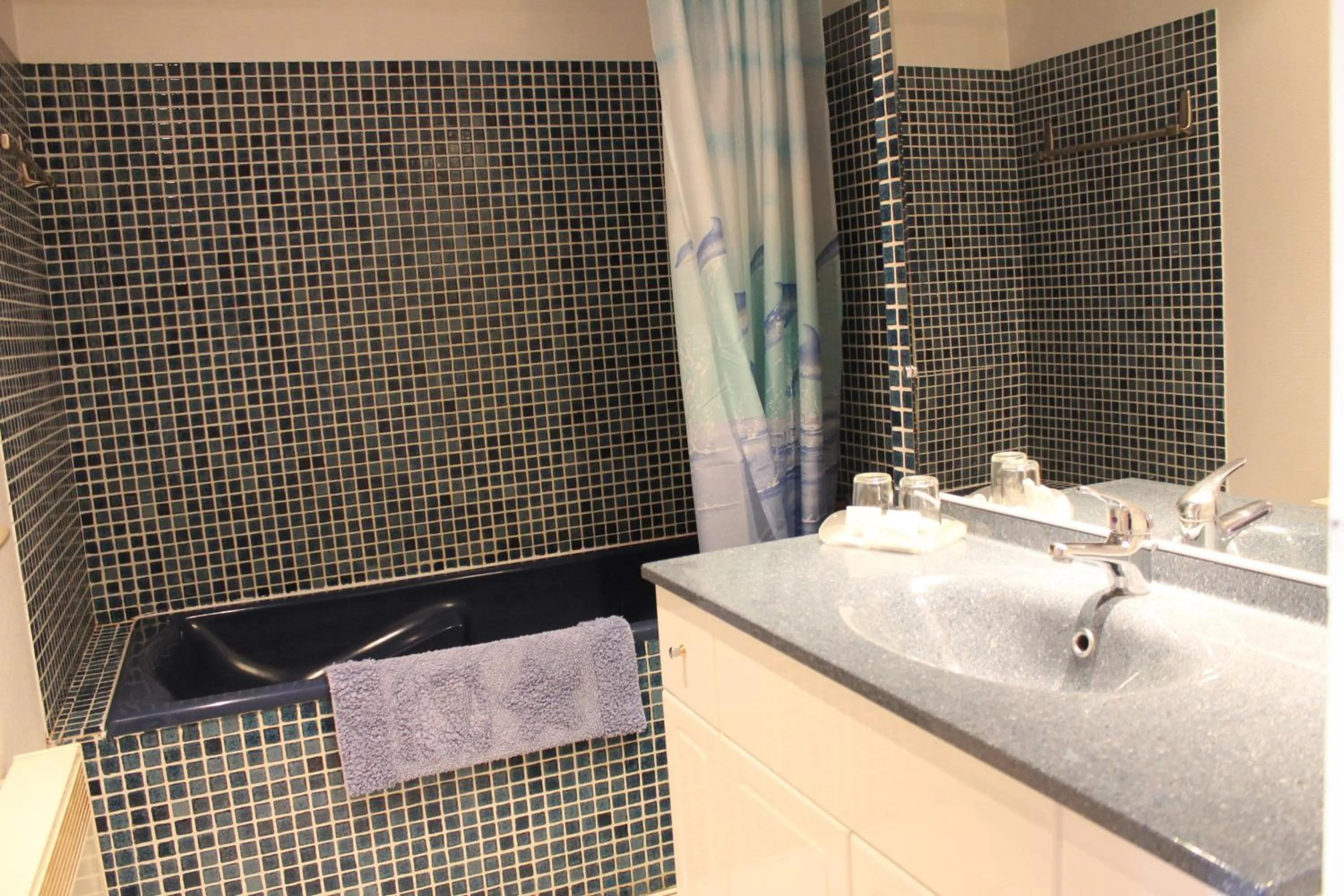 Bathroom in Le France