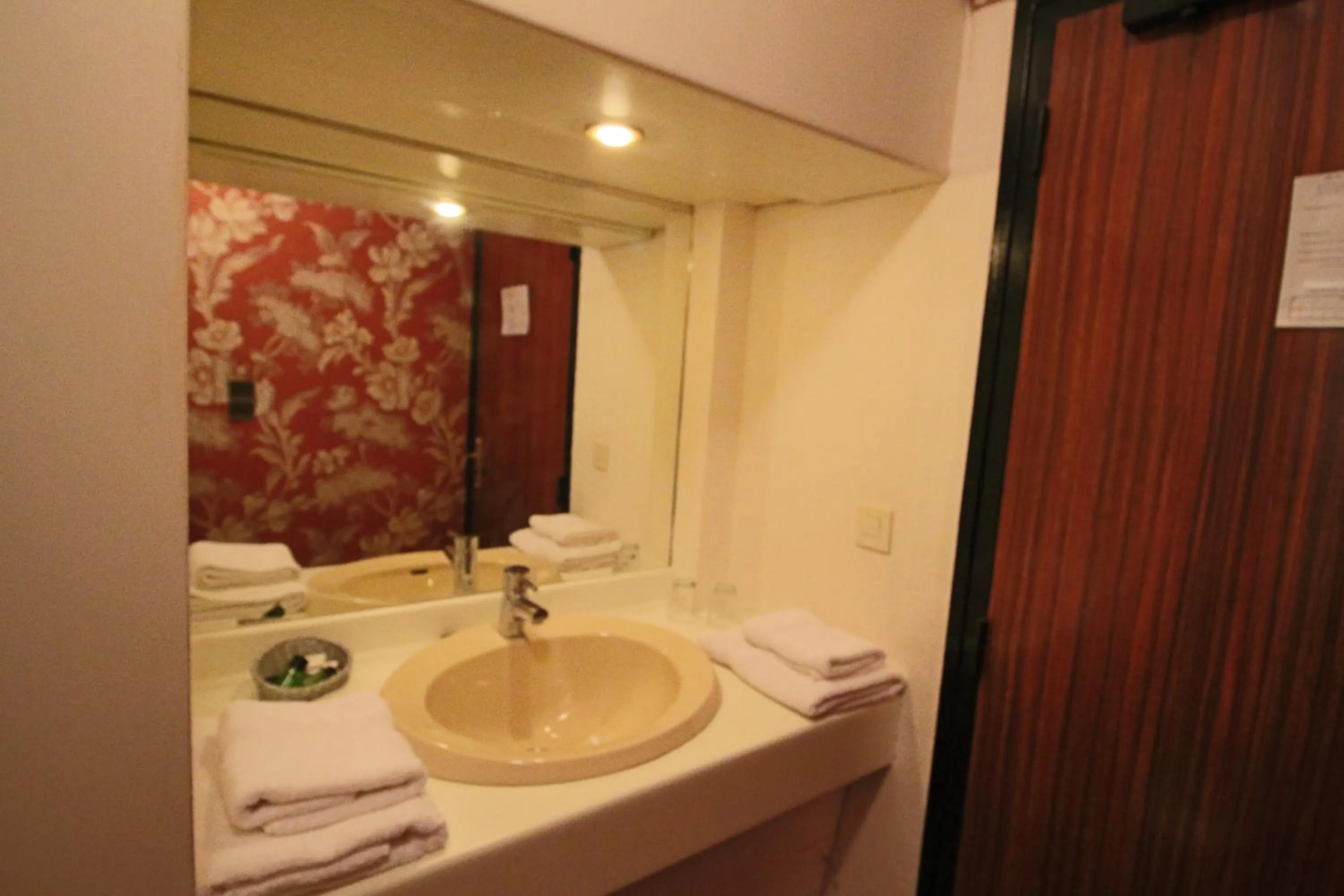 Bathroom in Le France