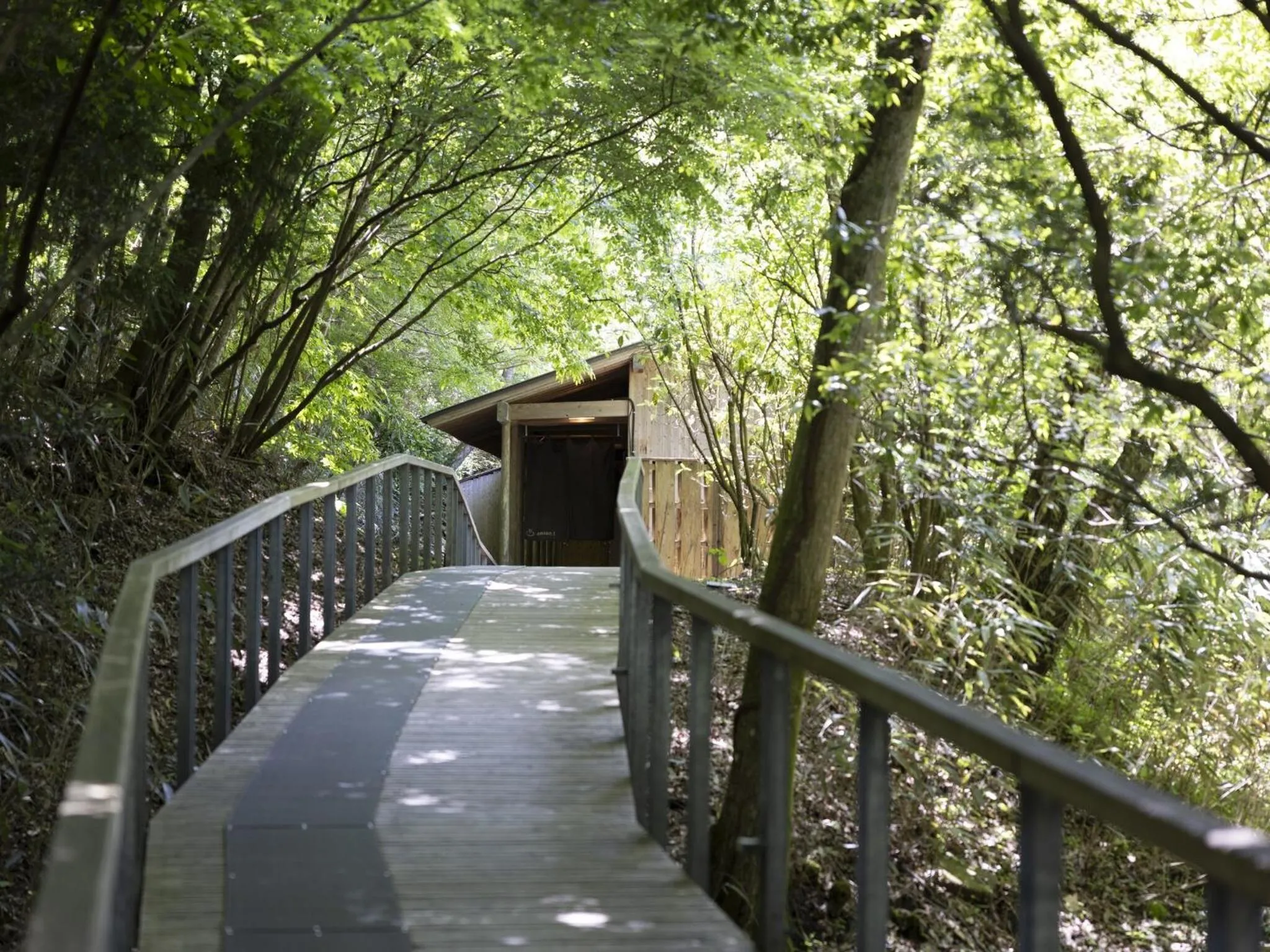 Public Bath in Hakone Retreat villa 1f
