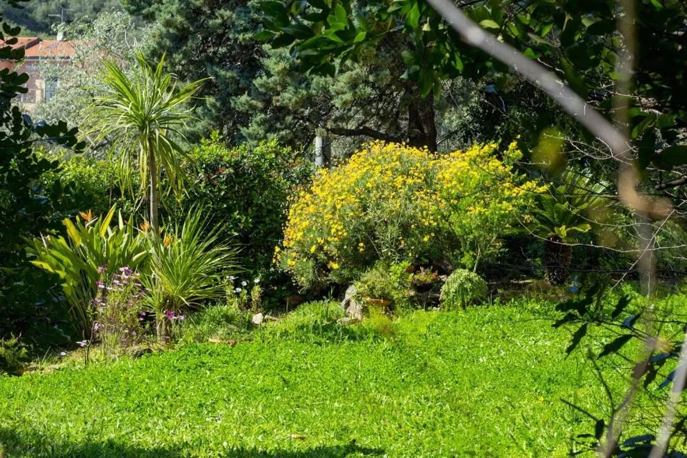 Property building in Hotel La Margherita