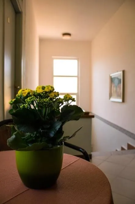 Balcony/Terrace in Hotel La Margherita