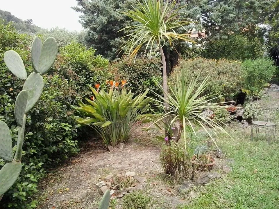 Garden view in Hotel La Margherita