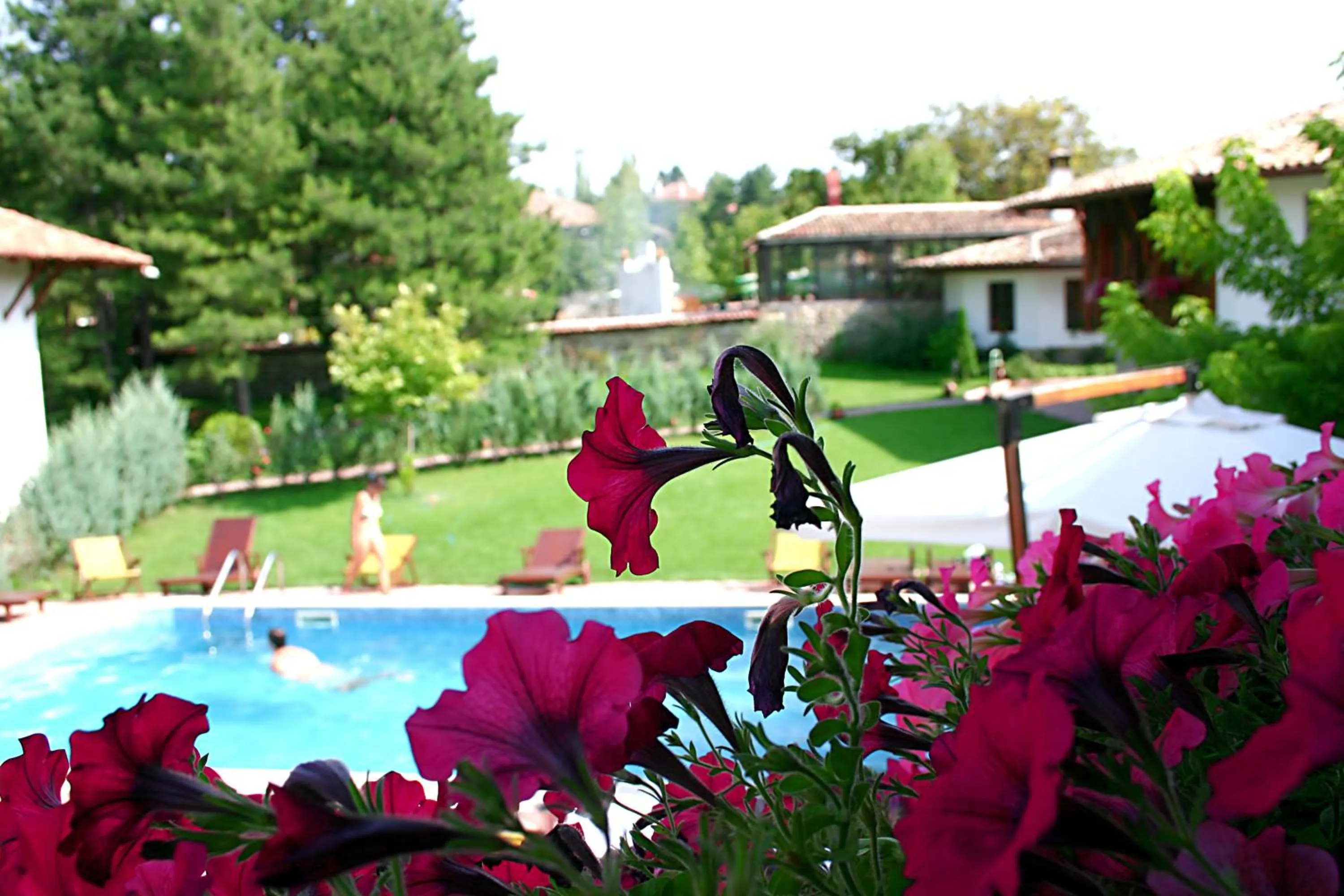 Swimming pool in Hotel Izvora - Garden Retreat