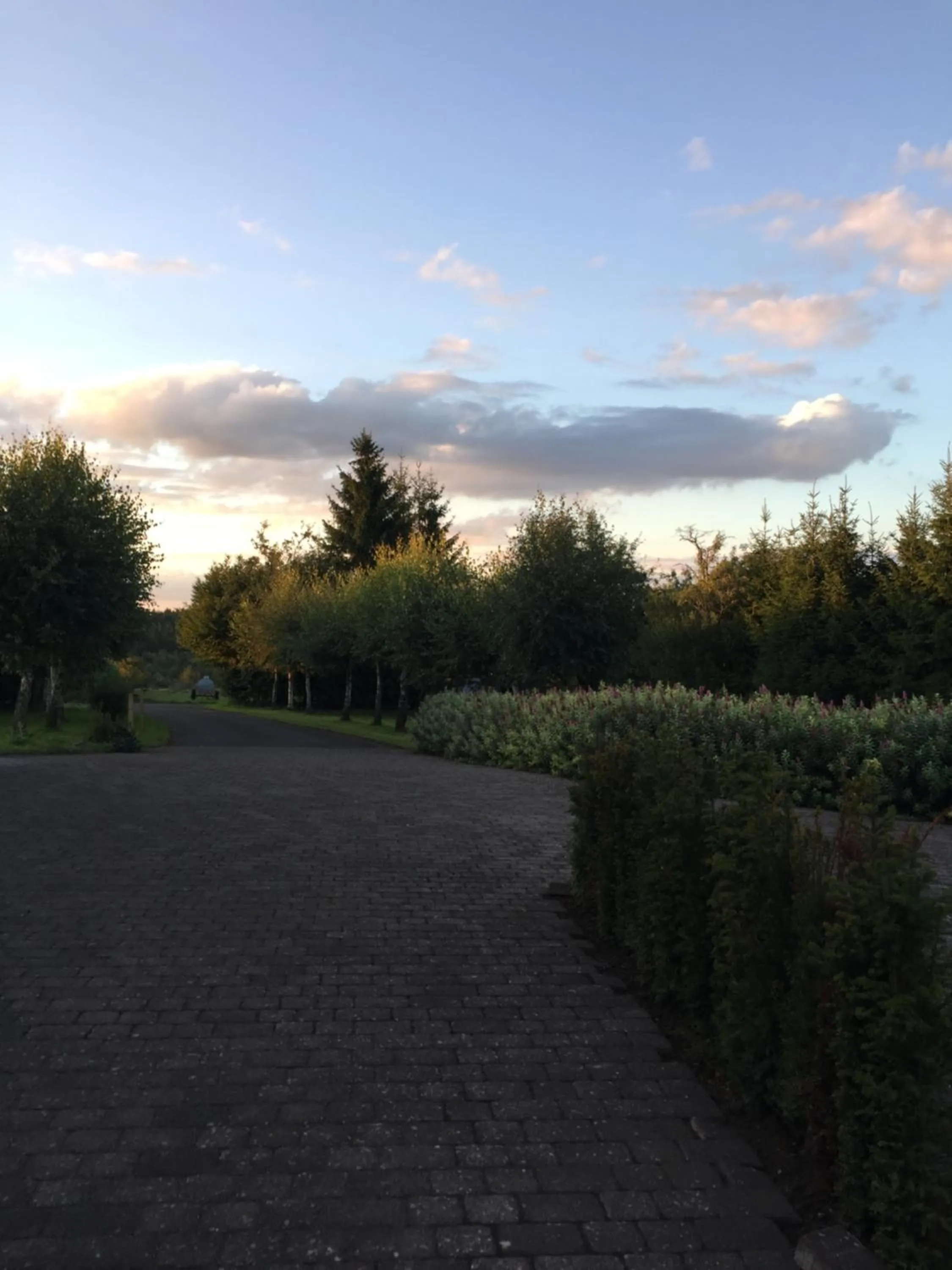 Garden view in Haus BuylBergh