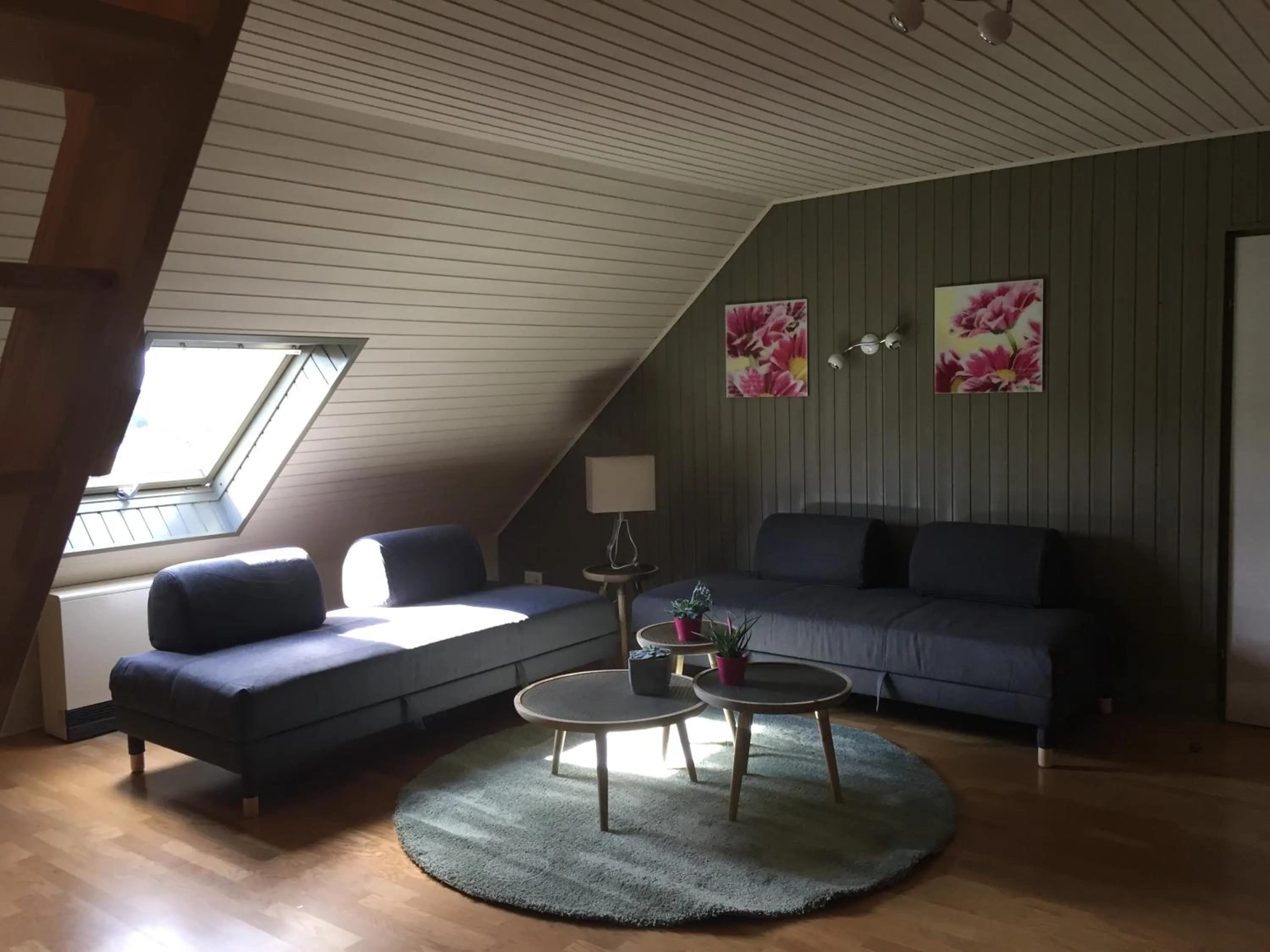 Photo of the whole room in Haus BuylBergh