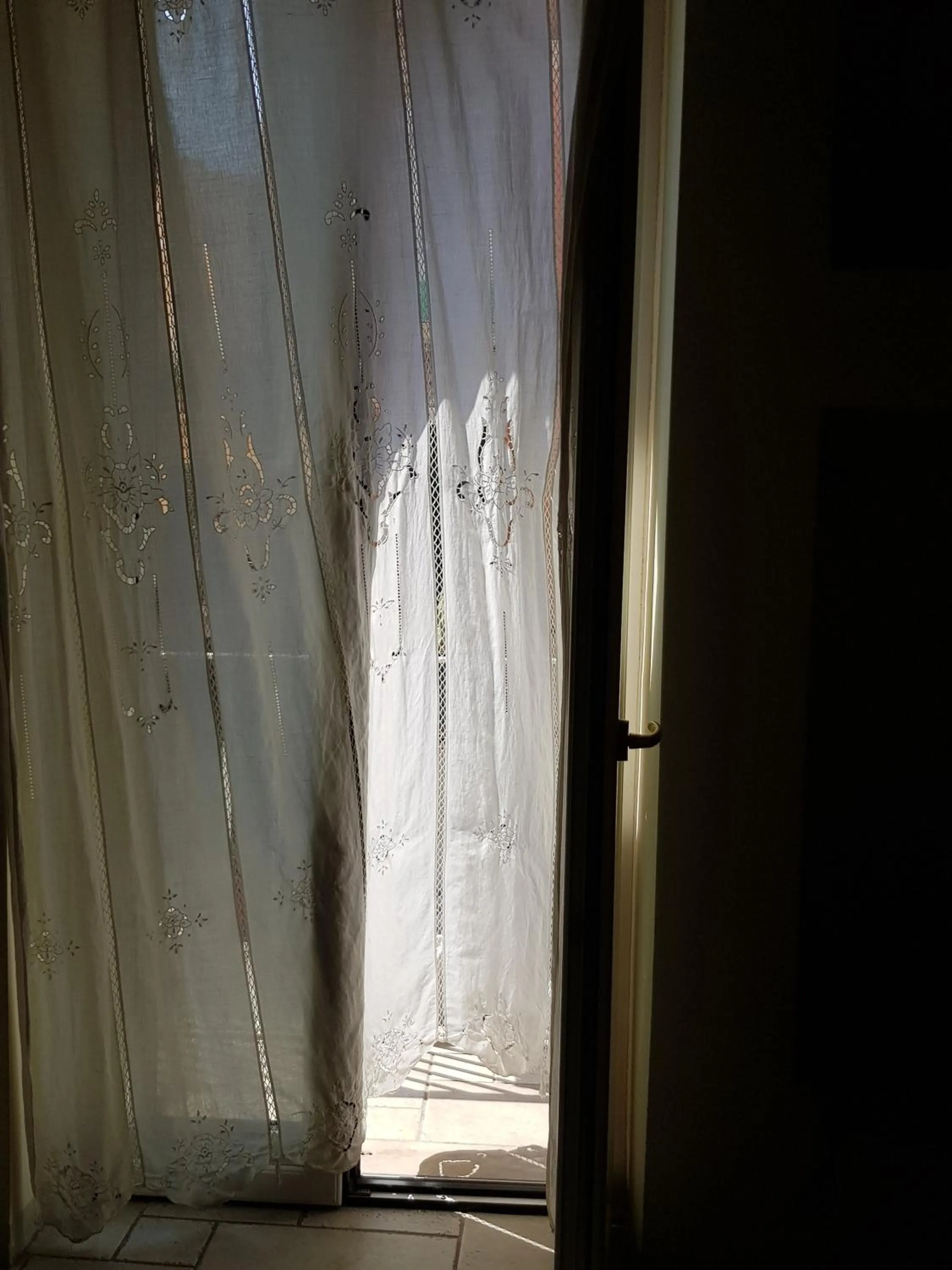 Buonanotte Margherita