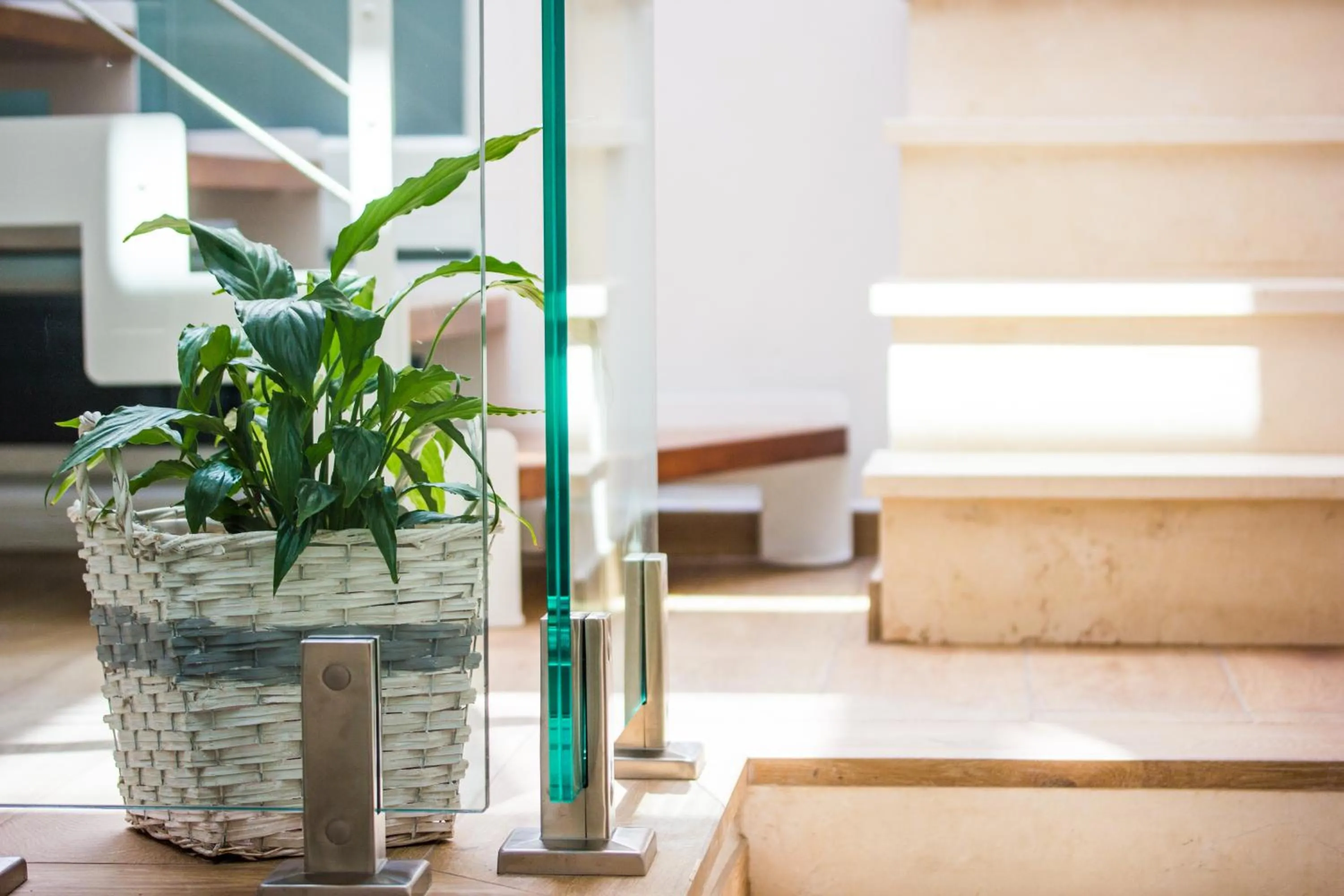 Area and facilities in Quarto Latino B&B