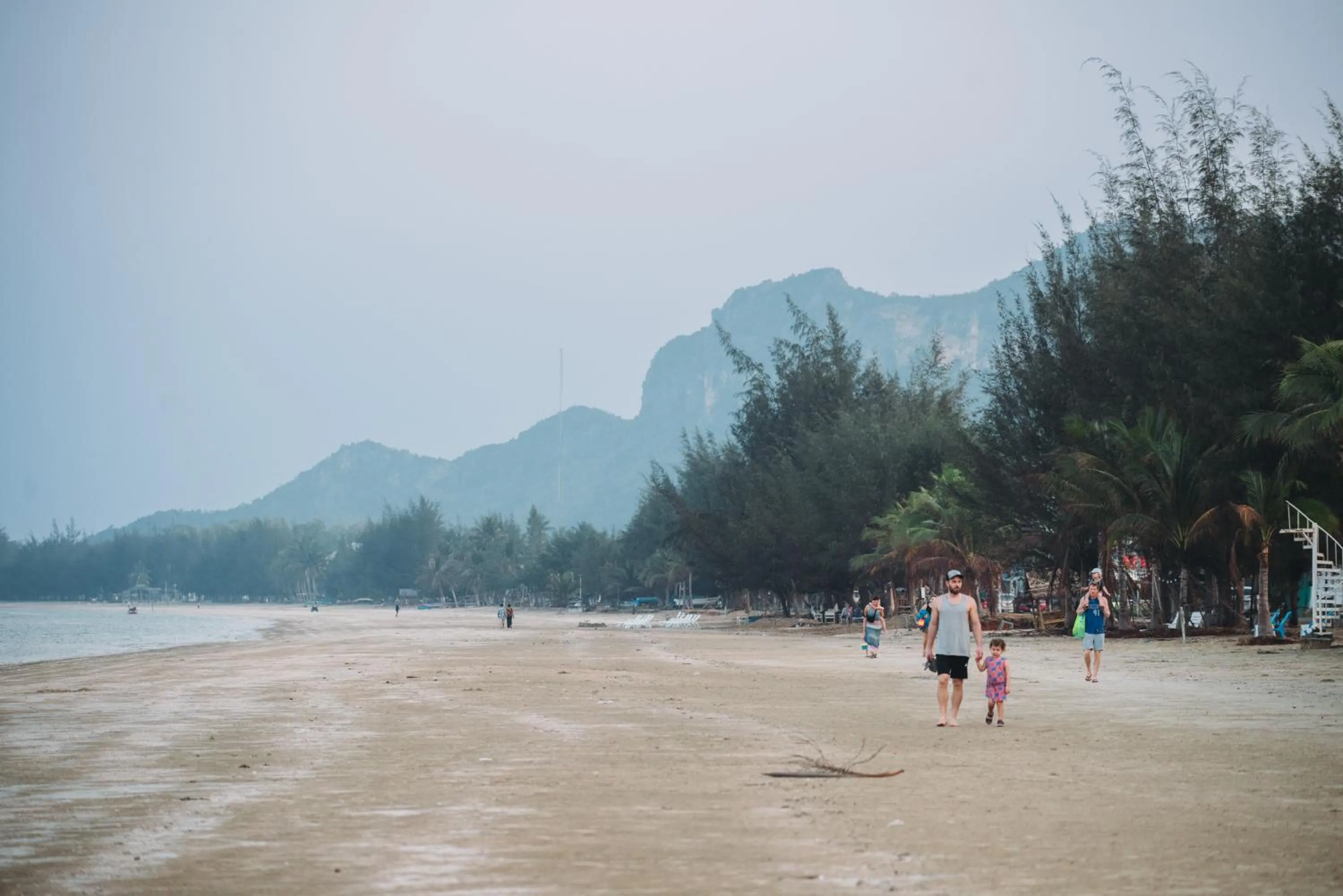 Natural landscape in Dolphin Bay Beach Resort