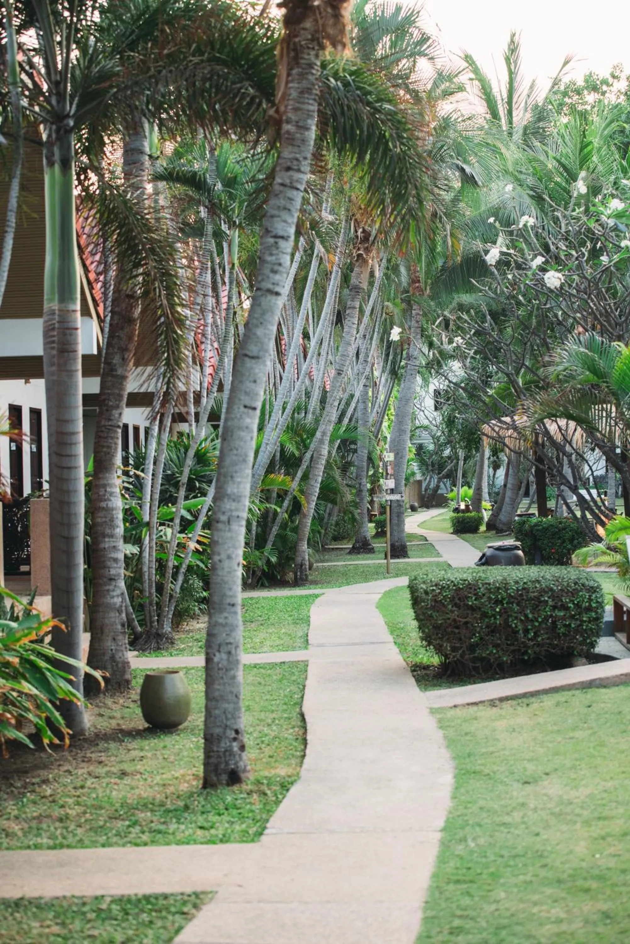 Natural landscape in Dolphin Bay Beach Resort