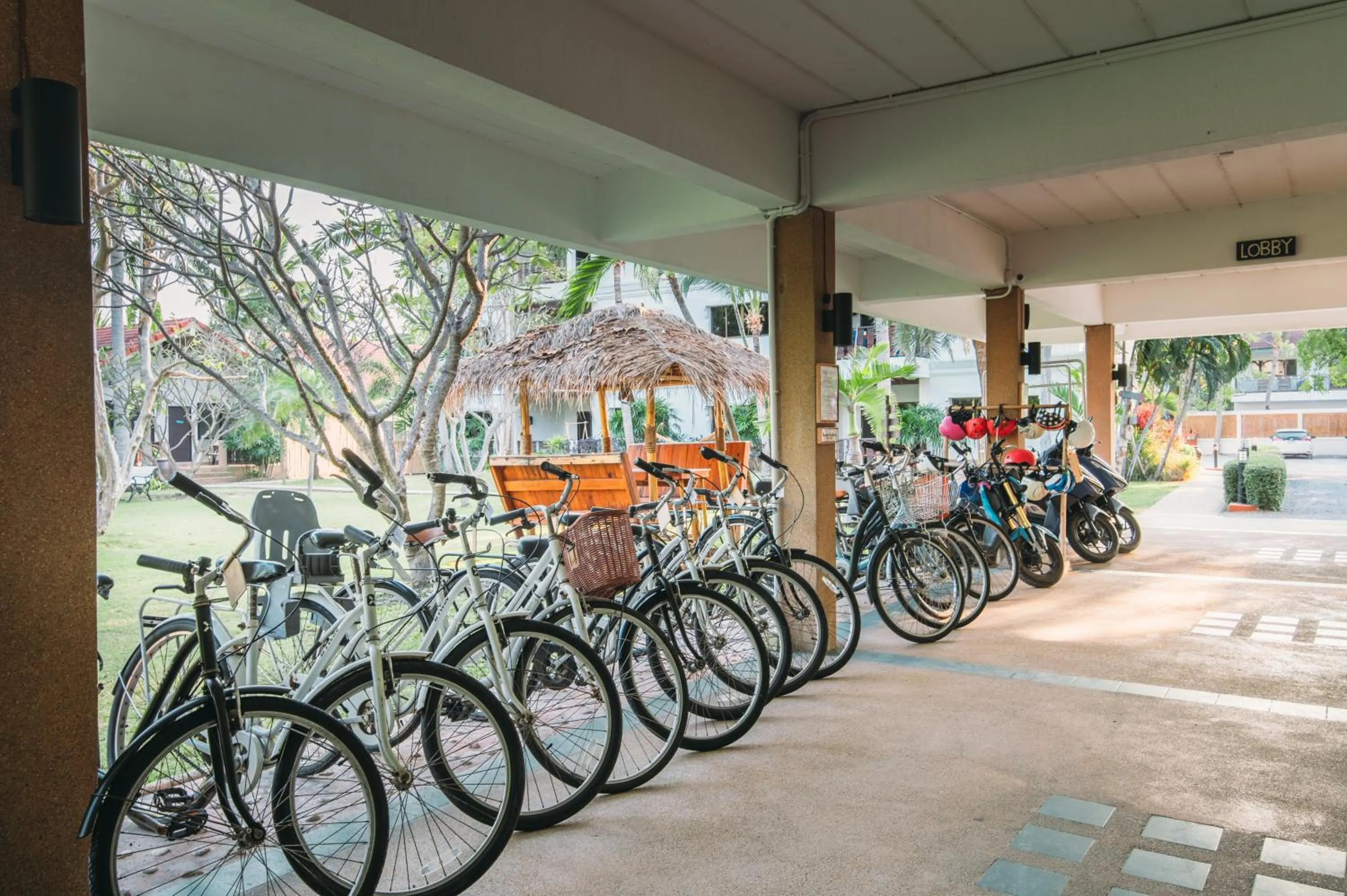 Cycling in Dolphin Bay Beach Resort