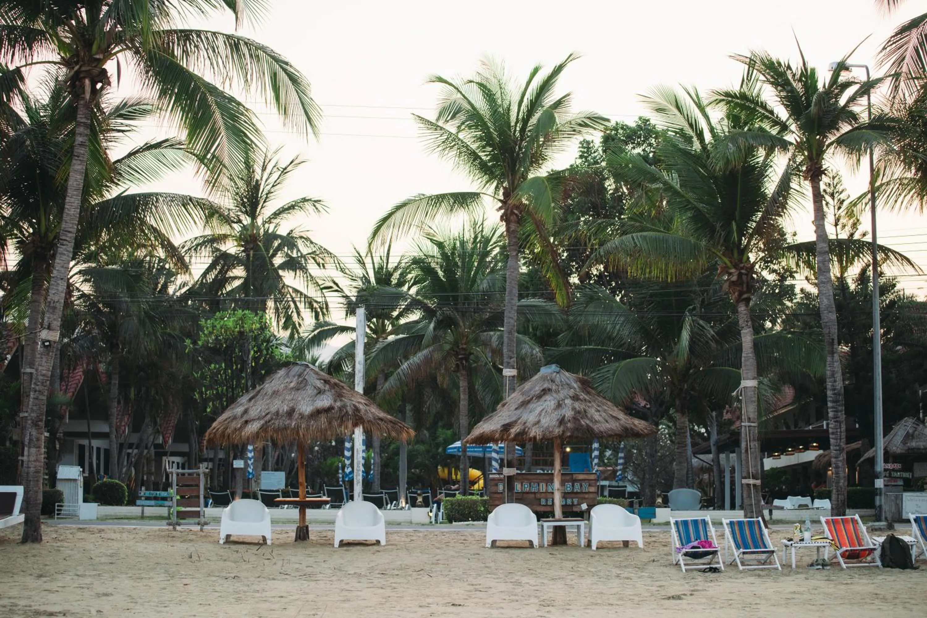 Natural landscape in Dolphin Bay Beach Resort