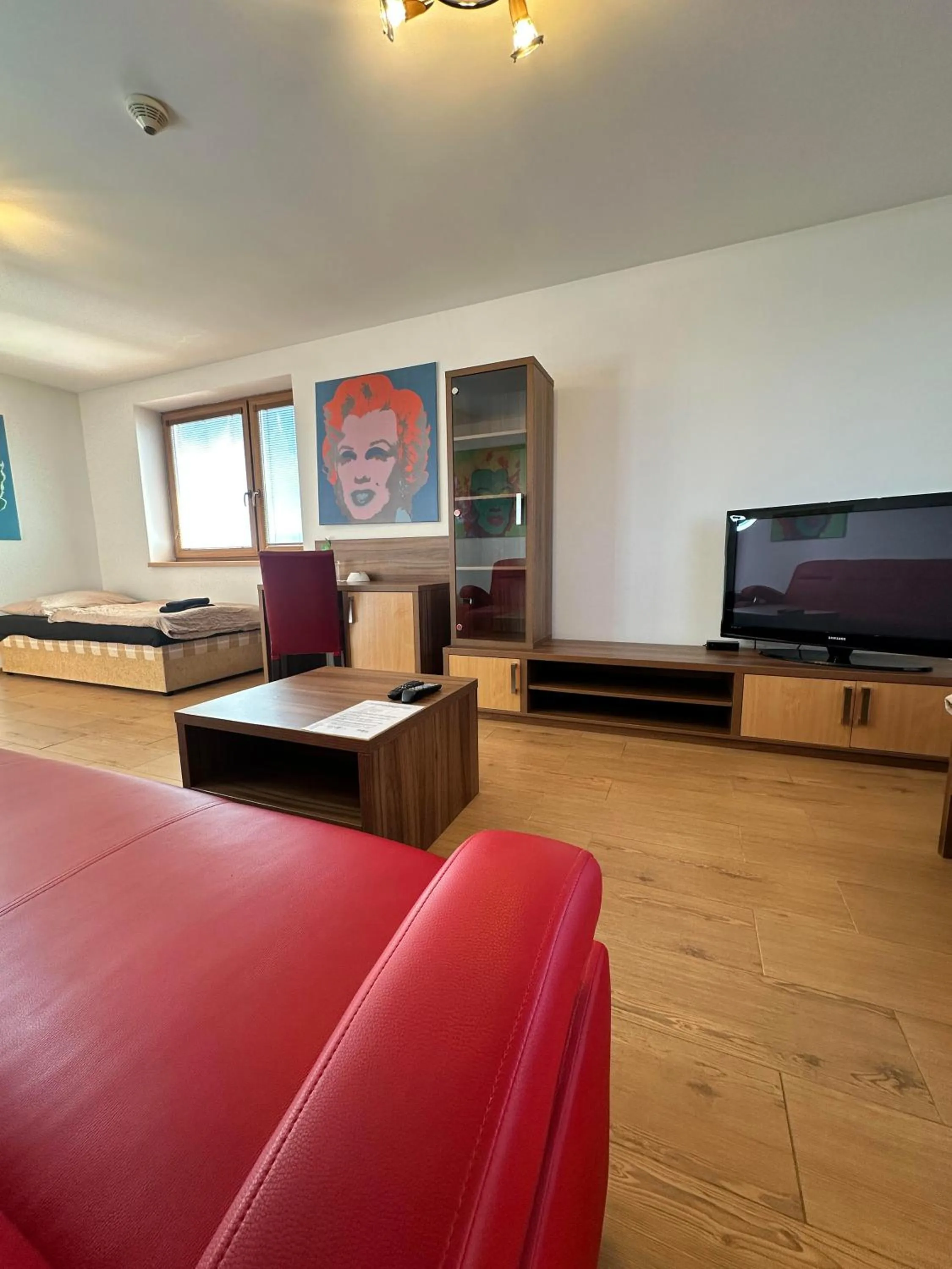 TV and multimedia in Hotel Muza