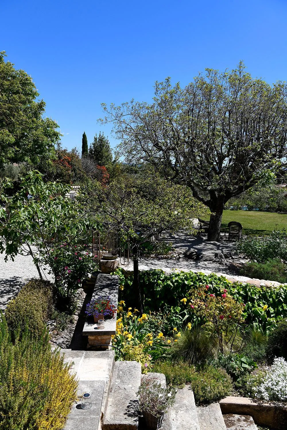 Garden view in Mas des Olives