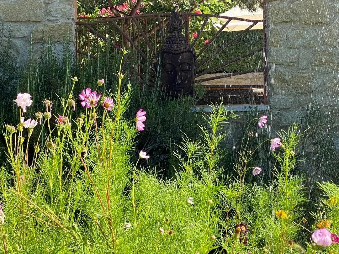 Garden in Mas des Olives
