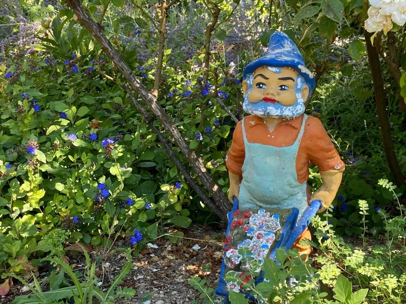 Garden in Mas des Olives