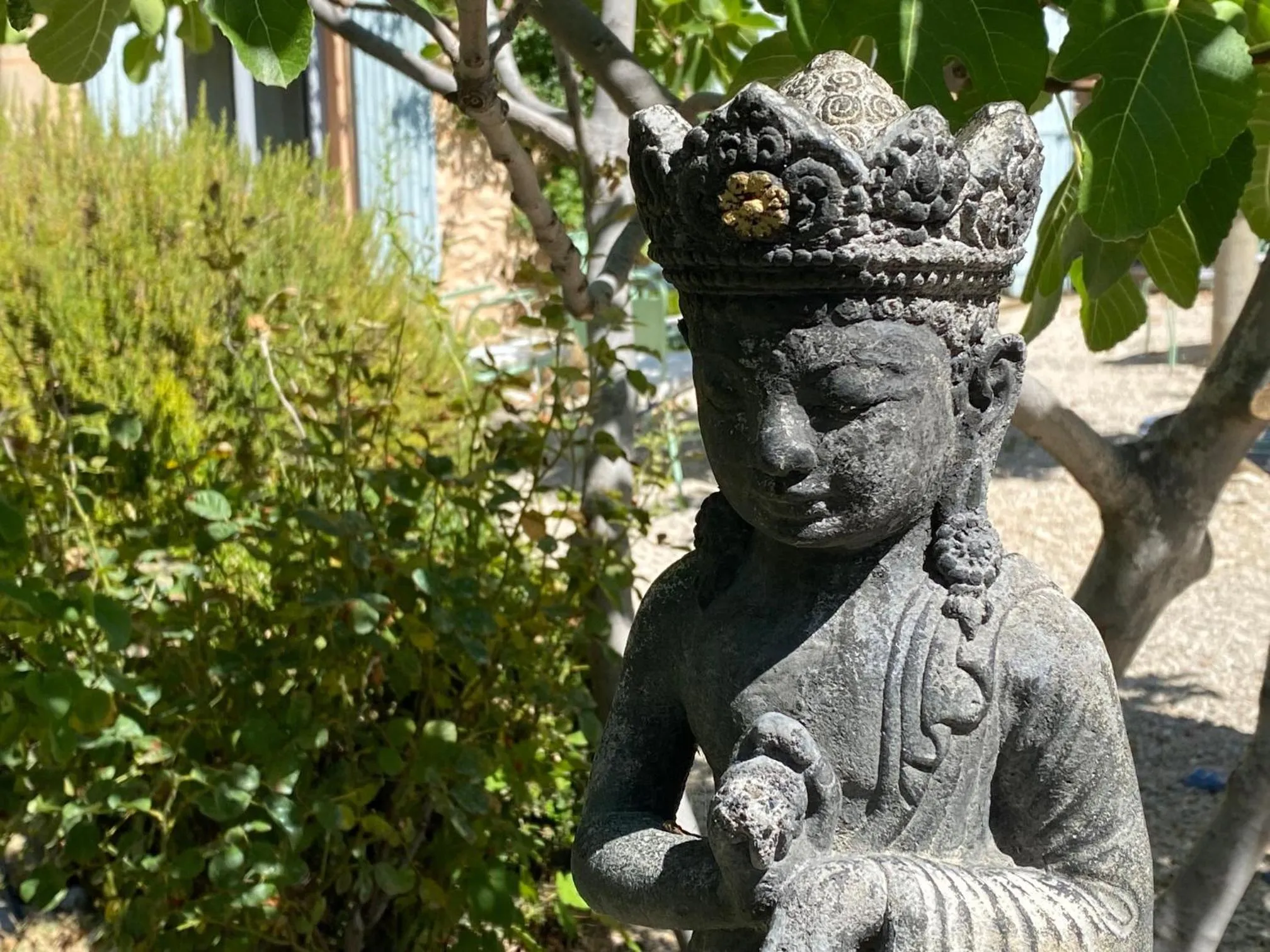 Garden in Mas des Olives