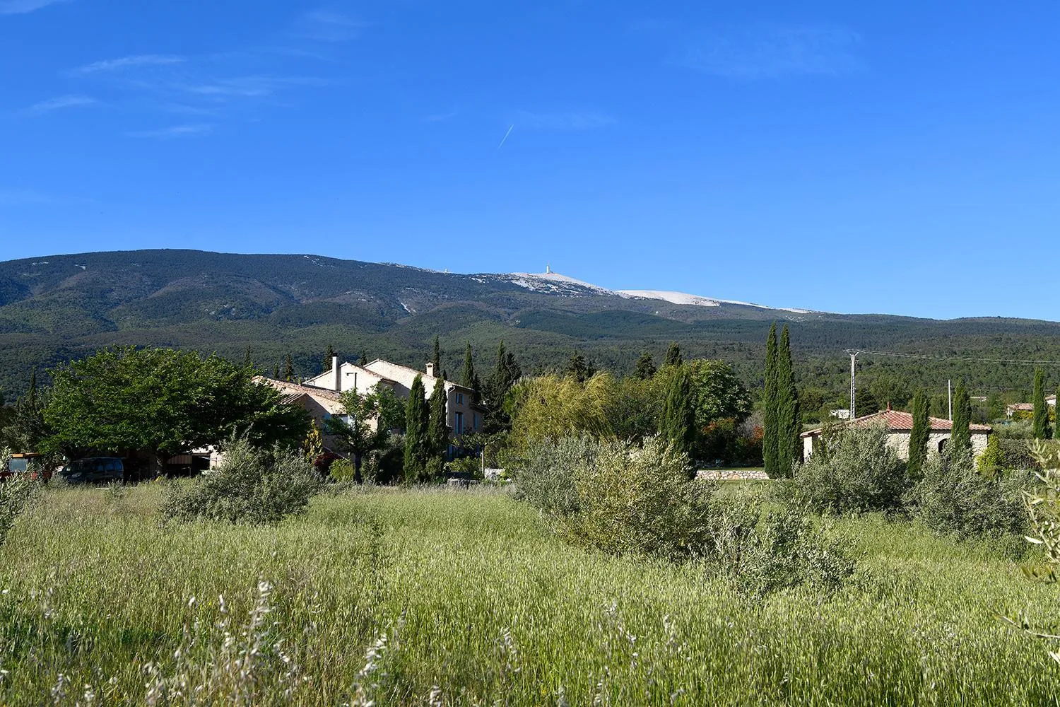 Natural landscape in Mas des Olives