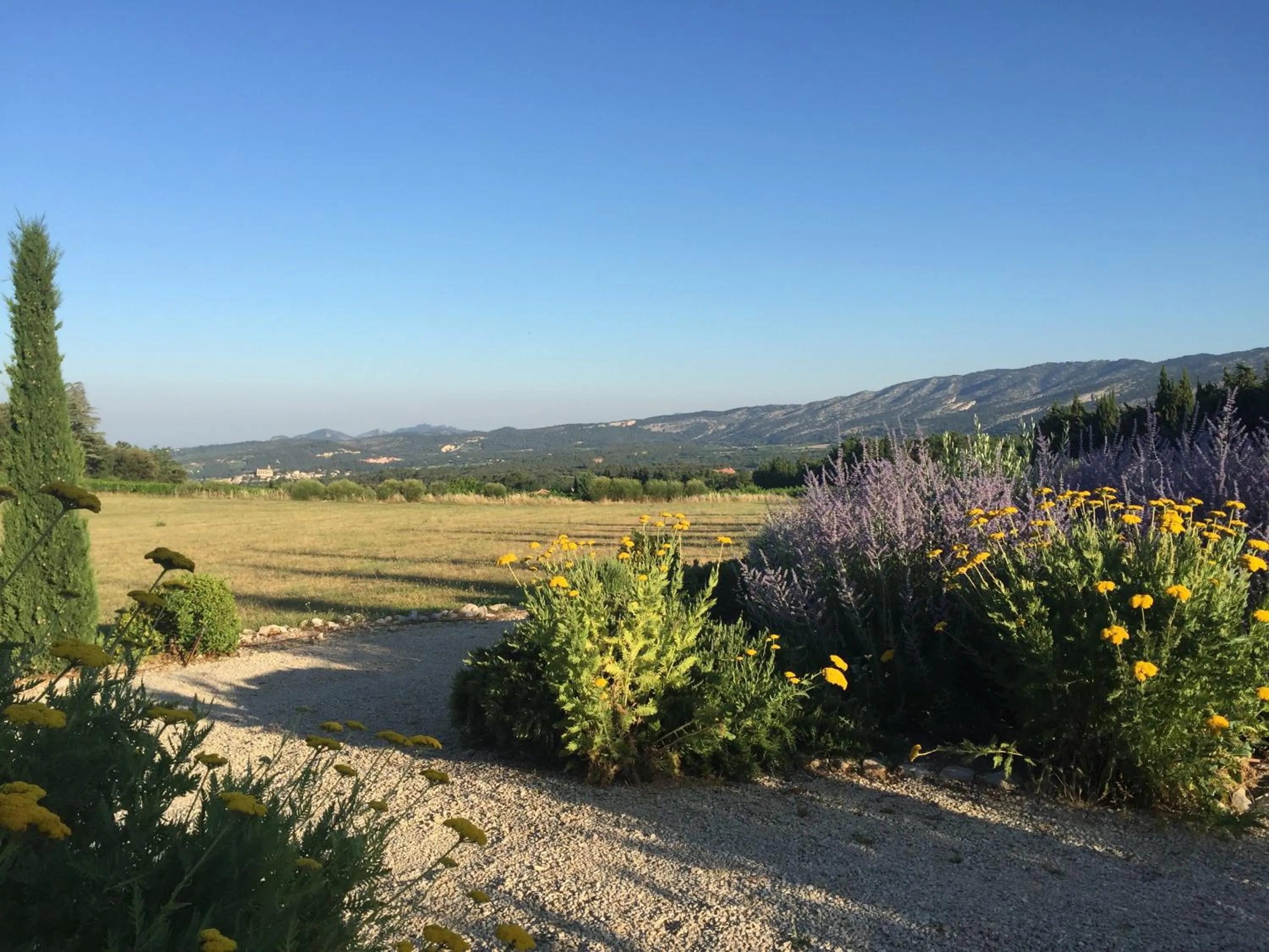 Natural landscape in Mas des Olives