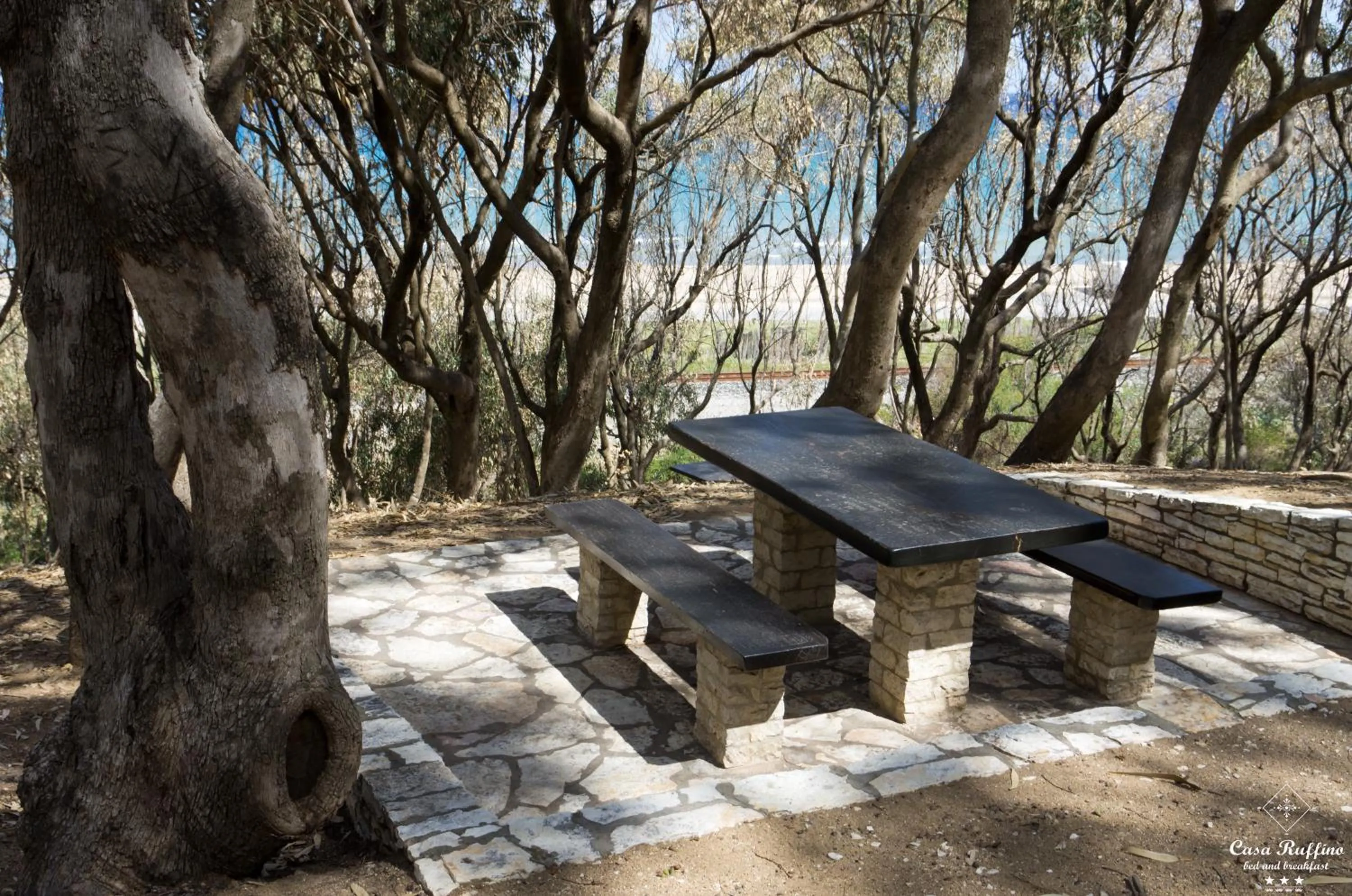 Natural landscape in B&B Casa Ruffino